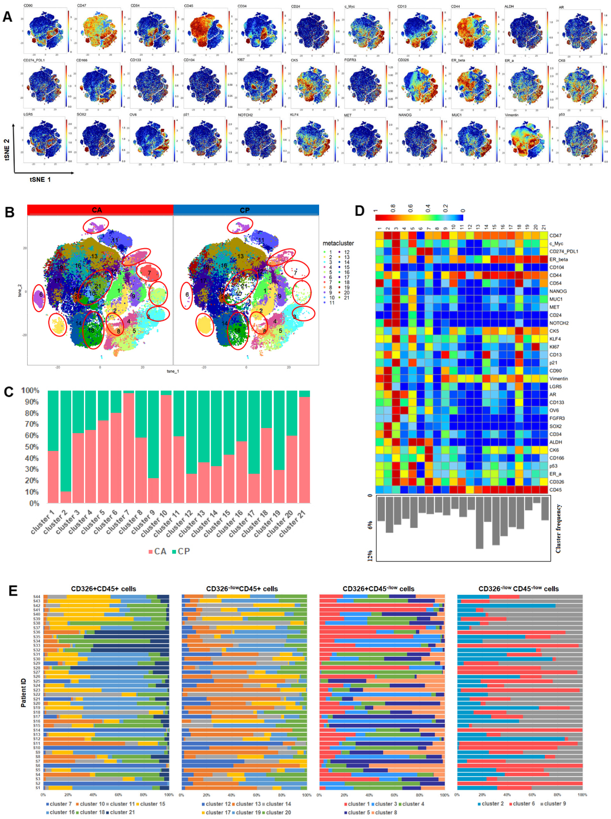 Cancers 13 05440 g001