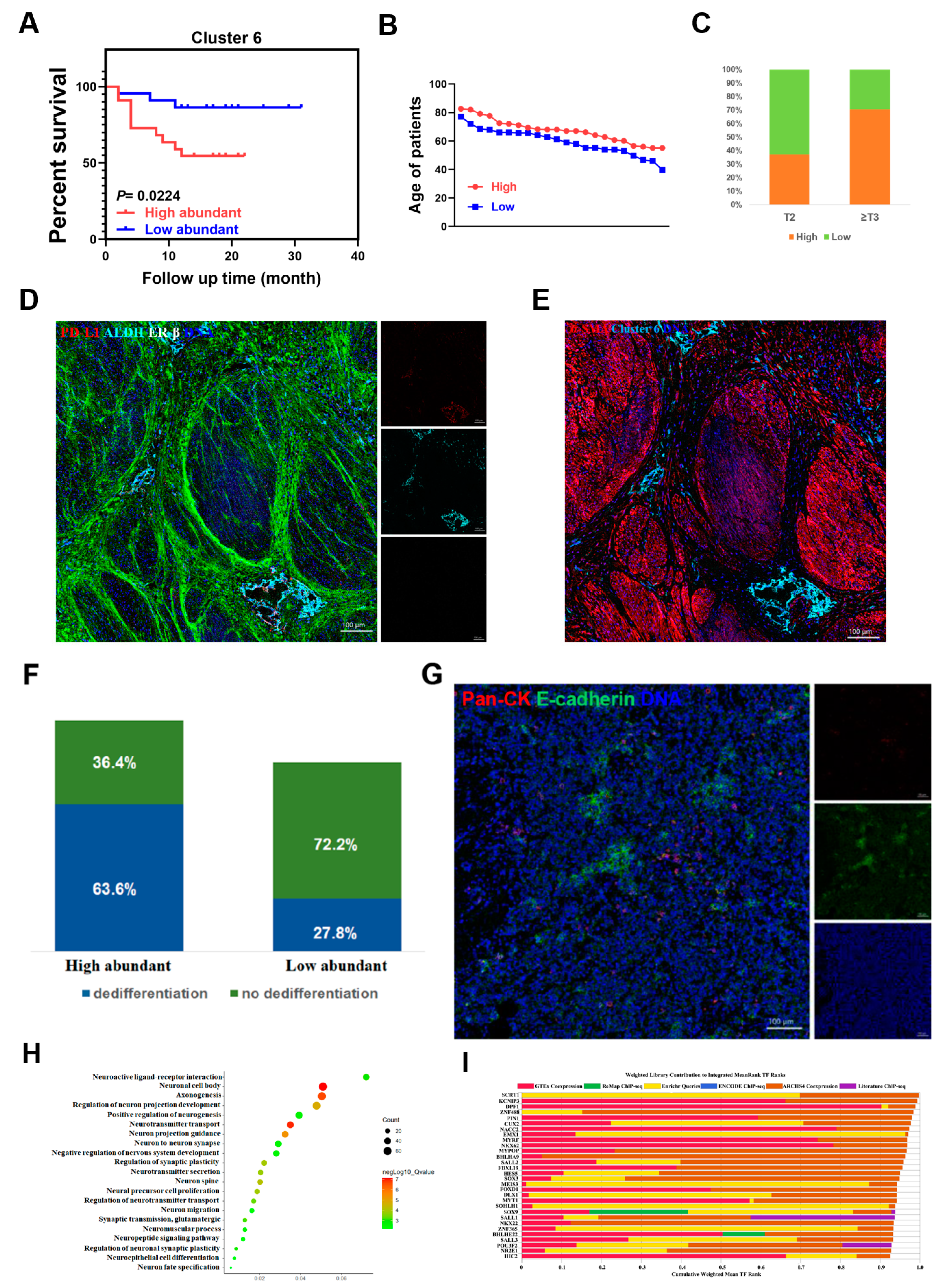 Cancers 13 05440 g003