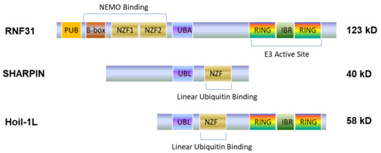 New Look of EBV LMP1 Signaling Landscape