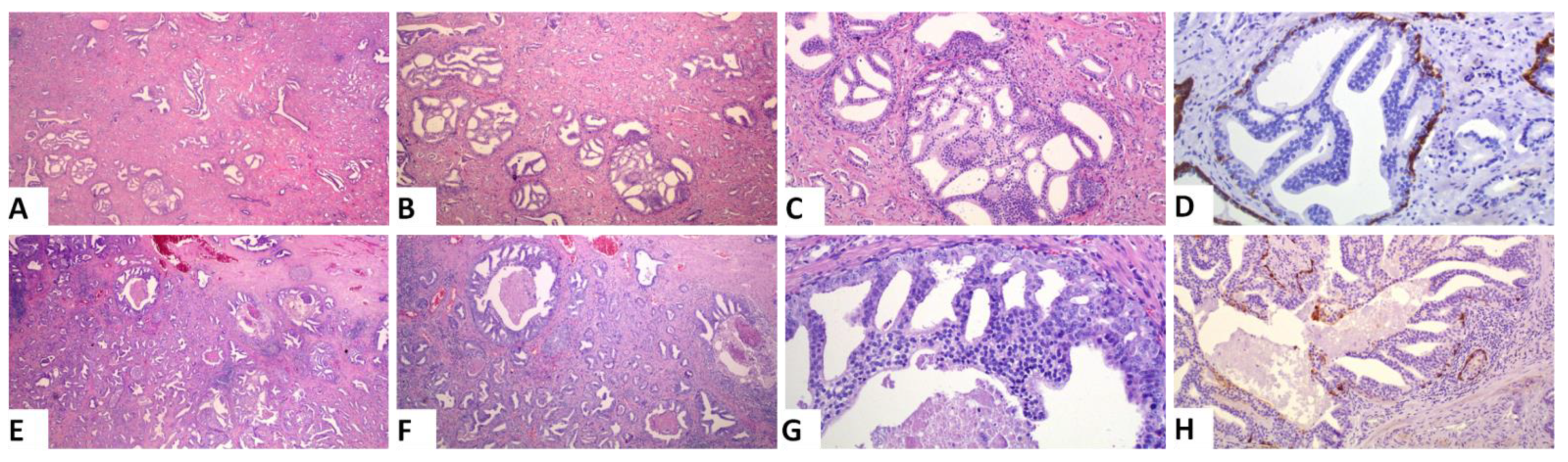 Cancers 13 05454 g002 550