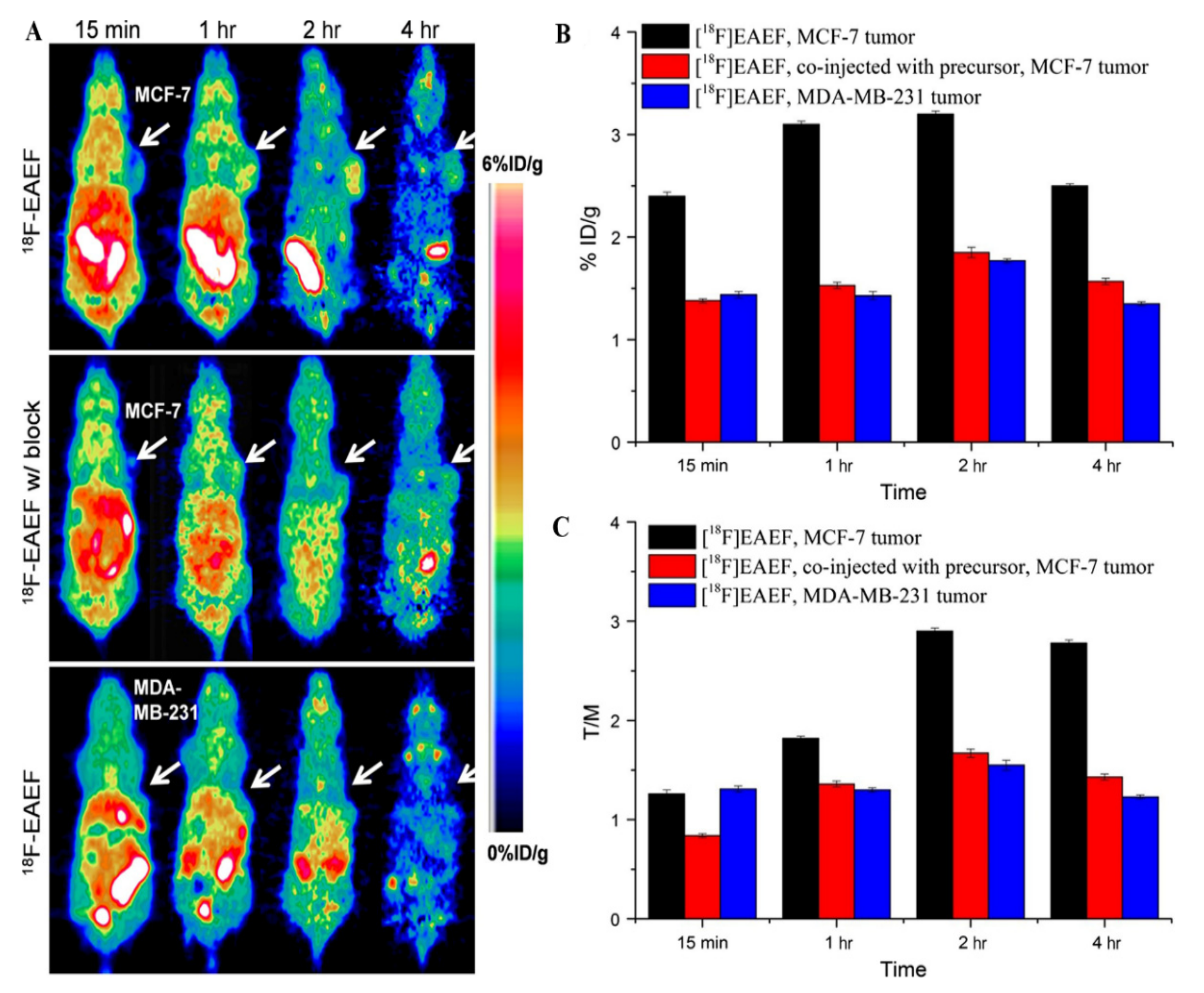 Cancers 13 05459 g006 Cancers 13 05459 g006