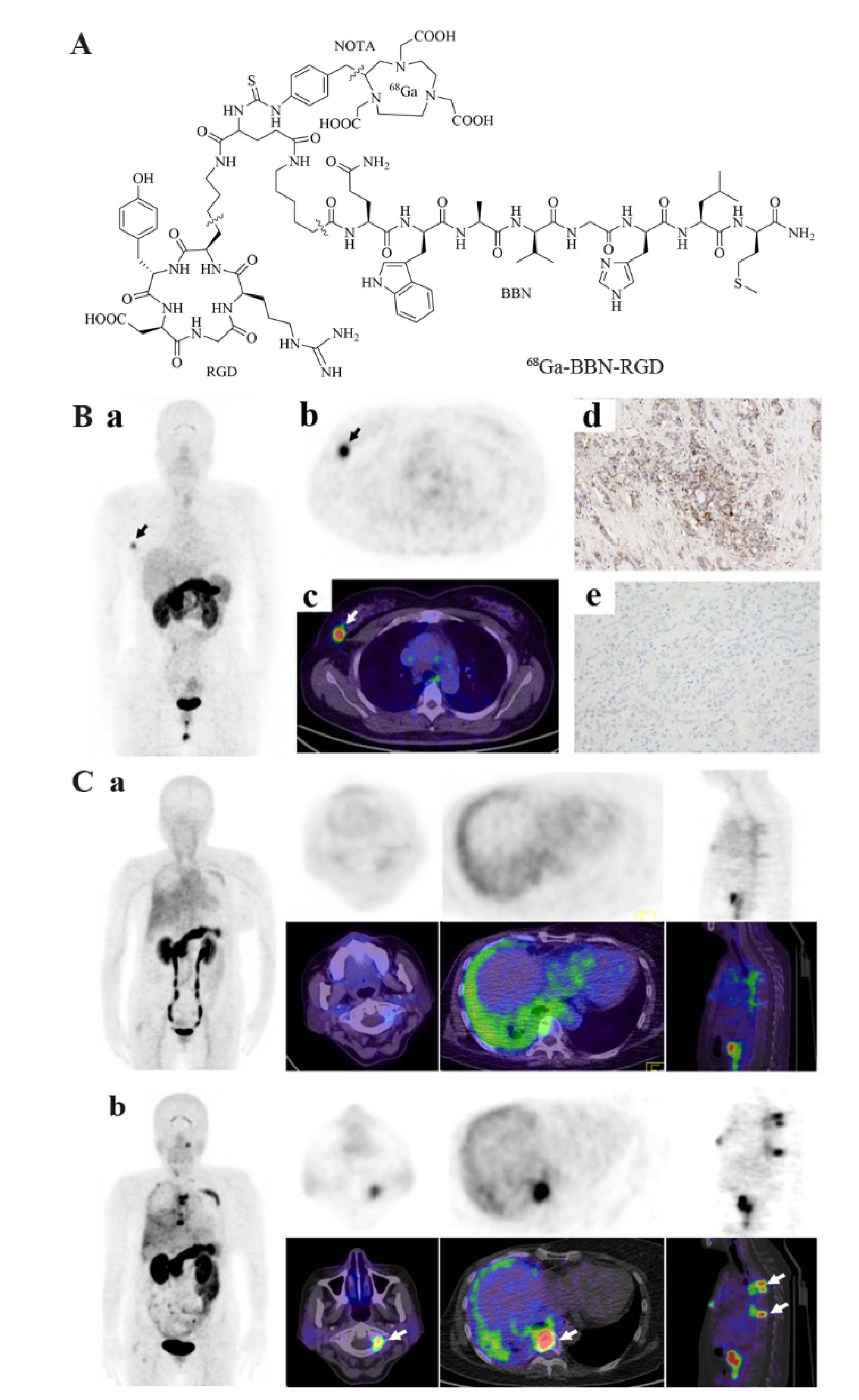 Cancers 13 05459 g009 Cancers 13 05459 g009