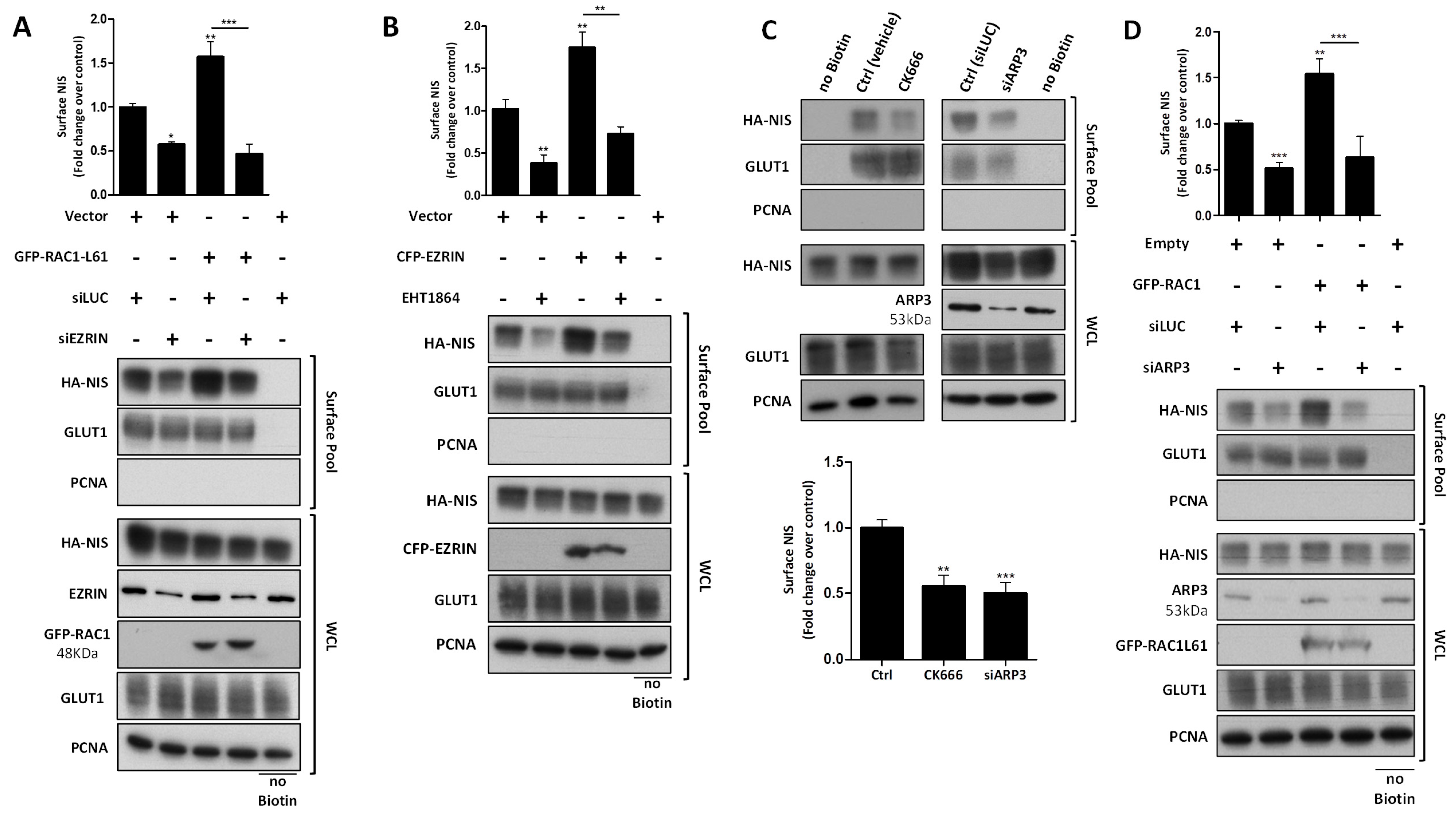 Cancers 13 05460 g006