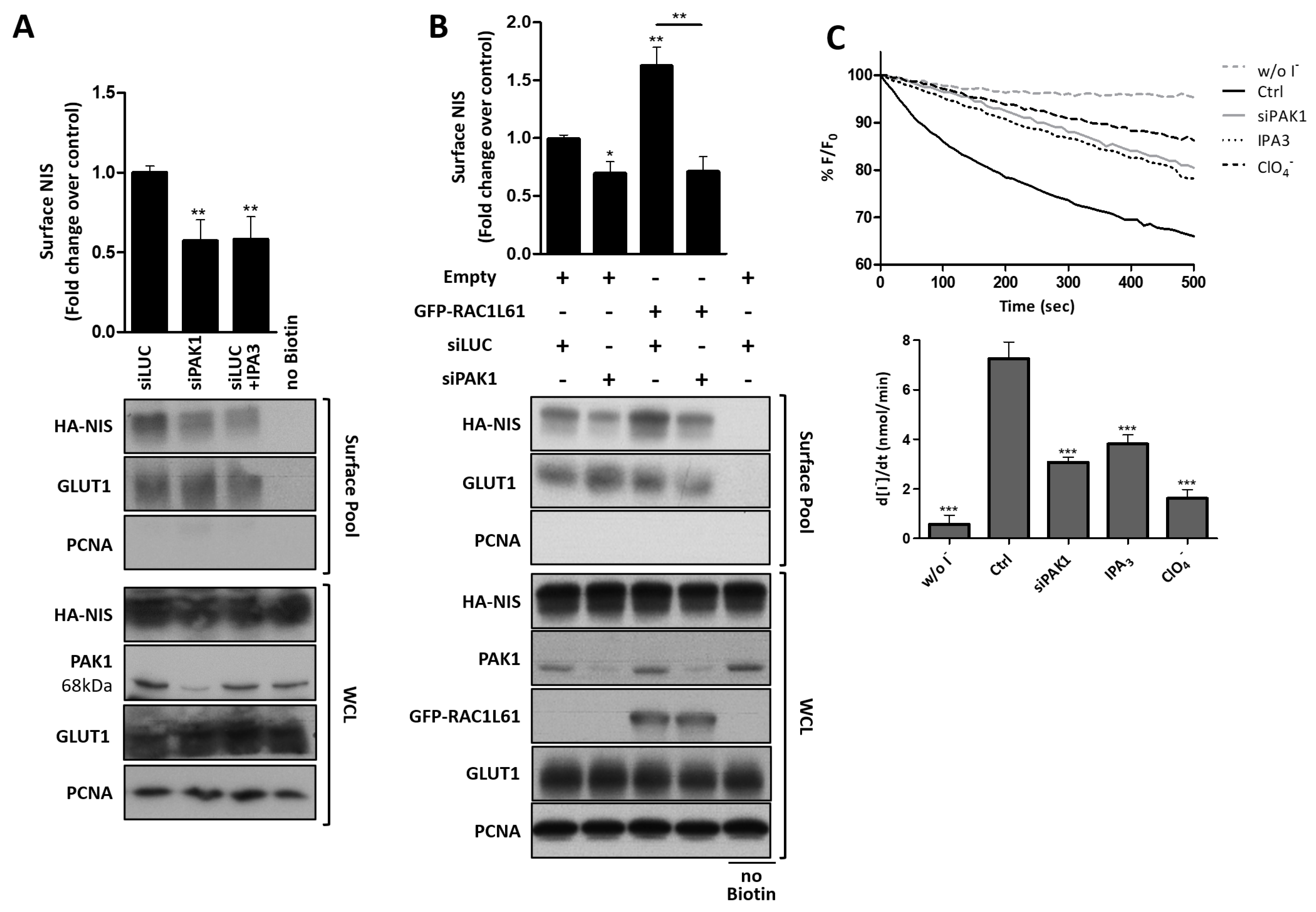 Cancers 13 05460 g007