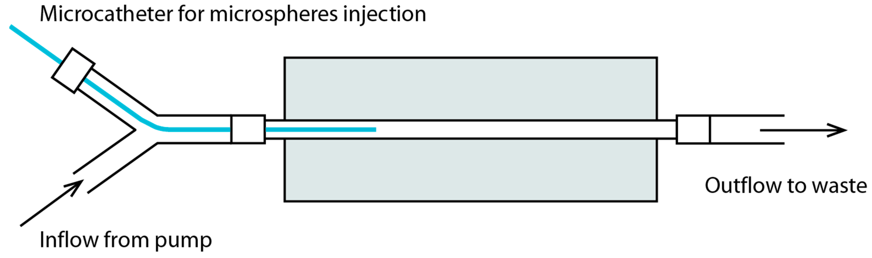 Cancers 13 05462 g002 550