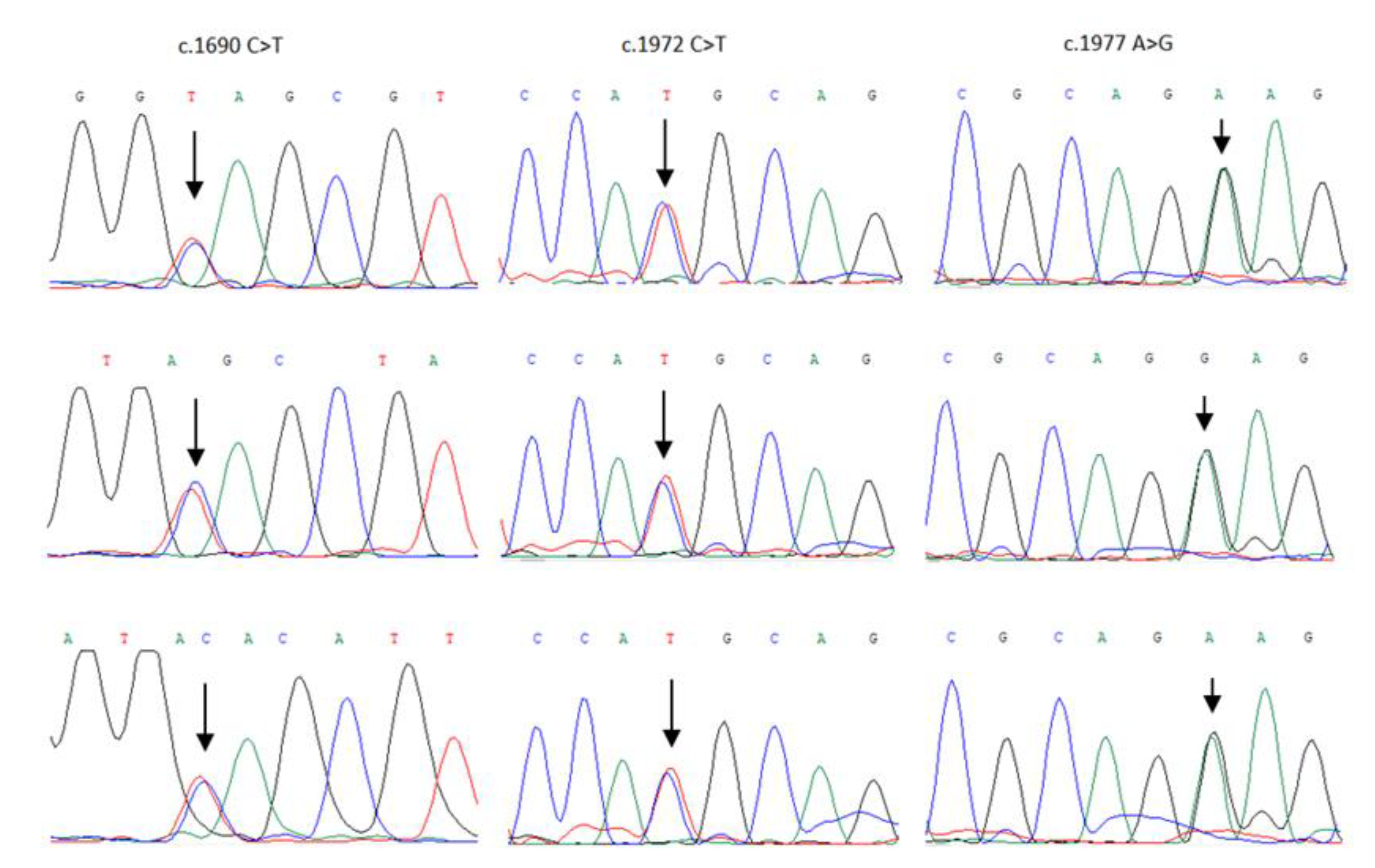 Cancers 13 05464 g002