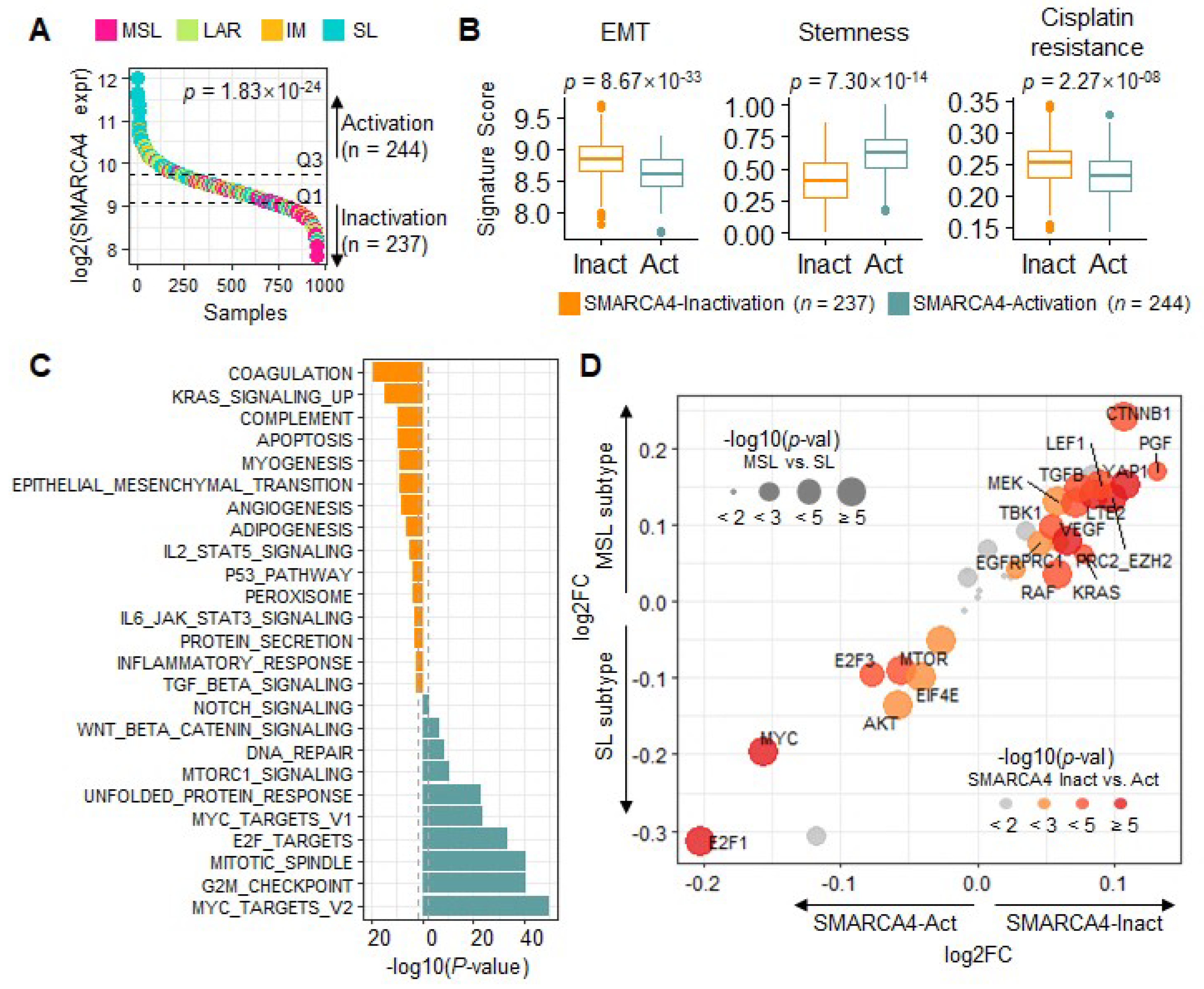 Cancers 13 05474 g002