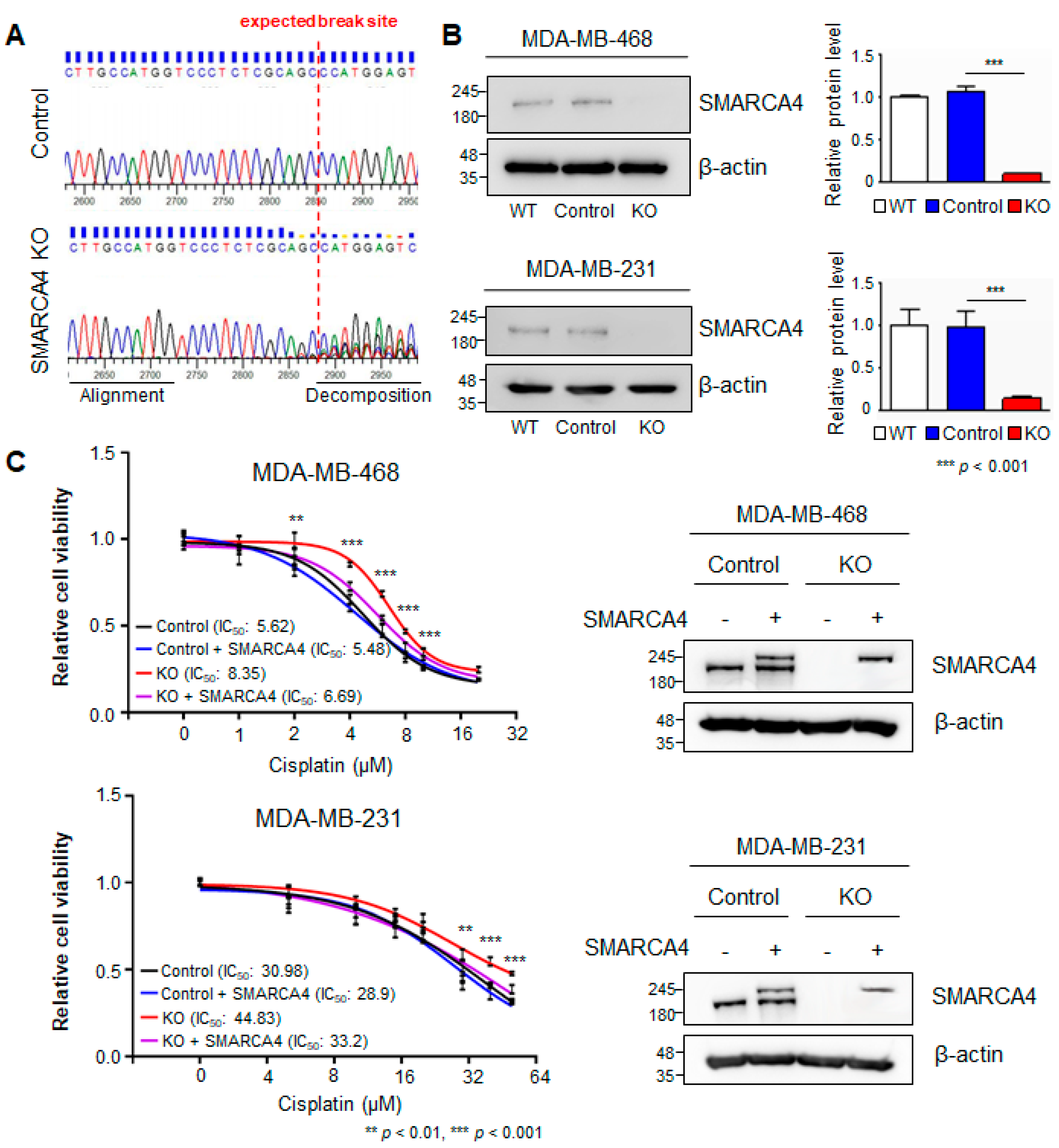 Cancers 13 05474 g003