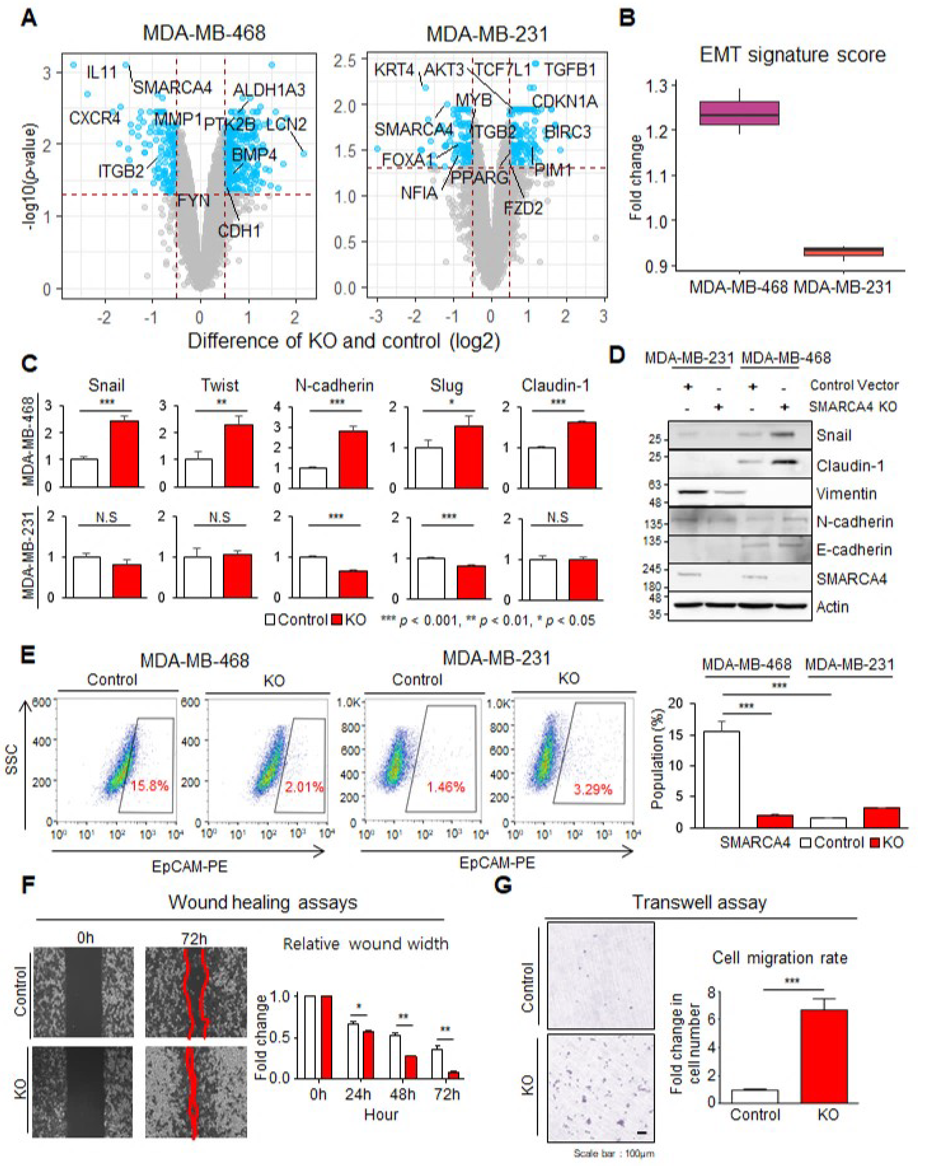 Cancers 13 05474 g004