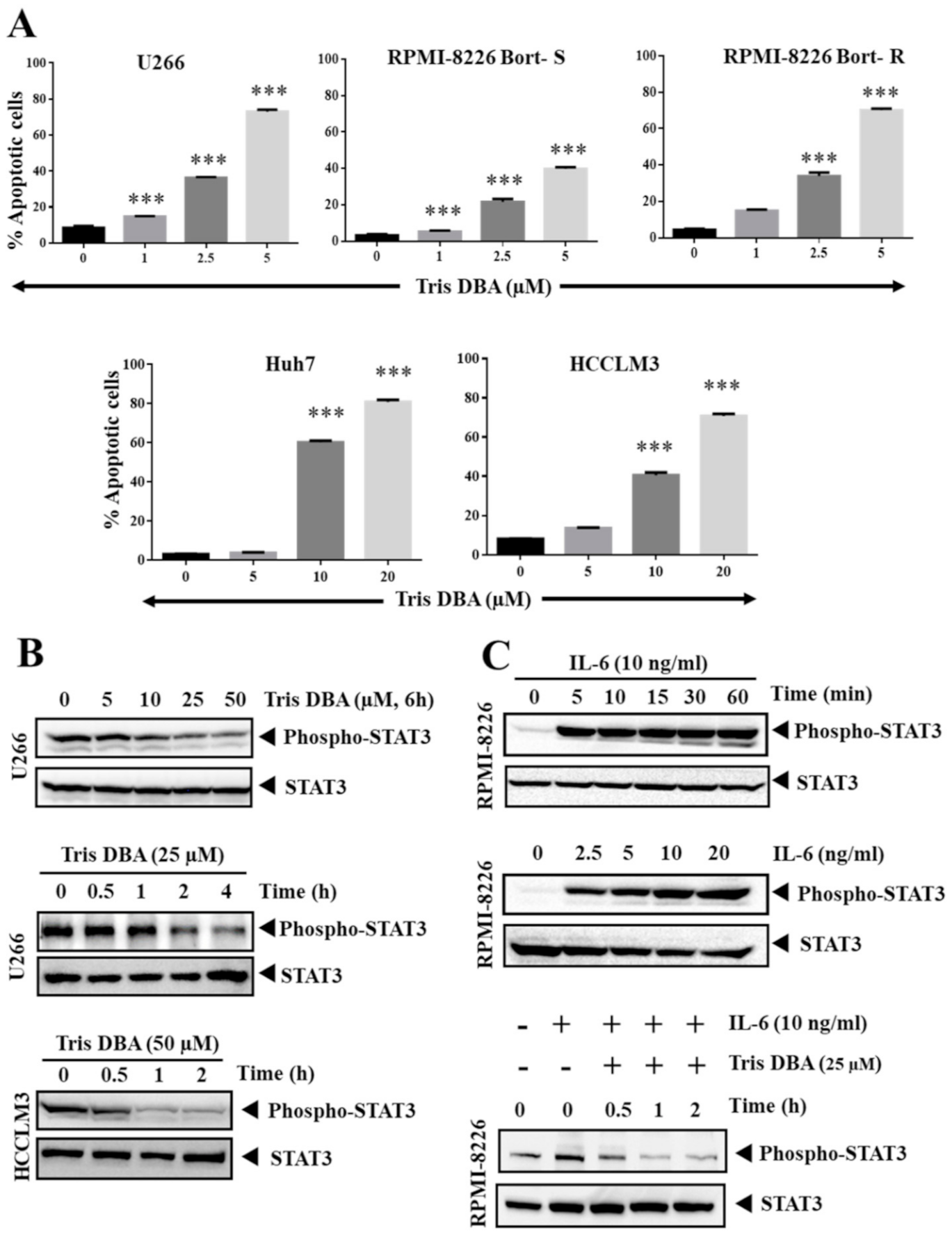 Cancers 13 05479 g002 550