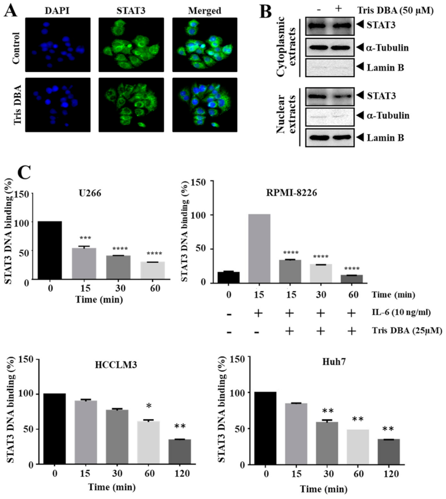 Cancers 13 05479 g003 550