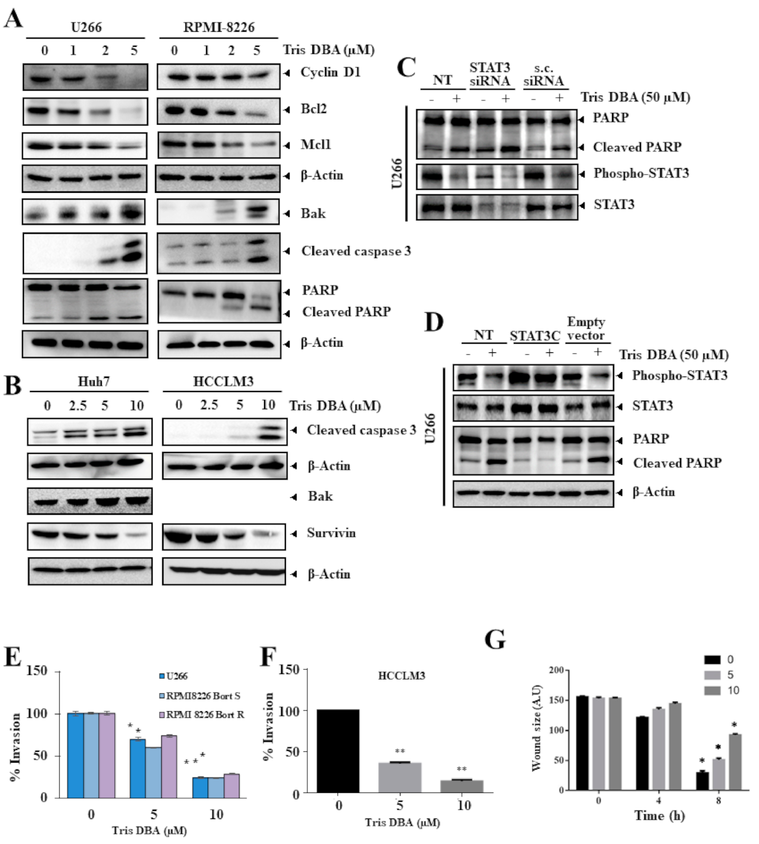 Cancers 13 05479 g005 550