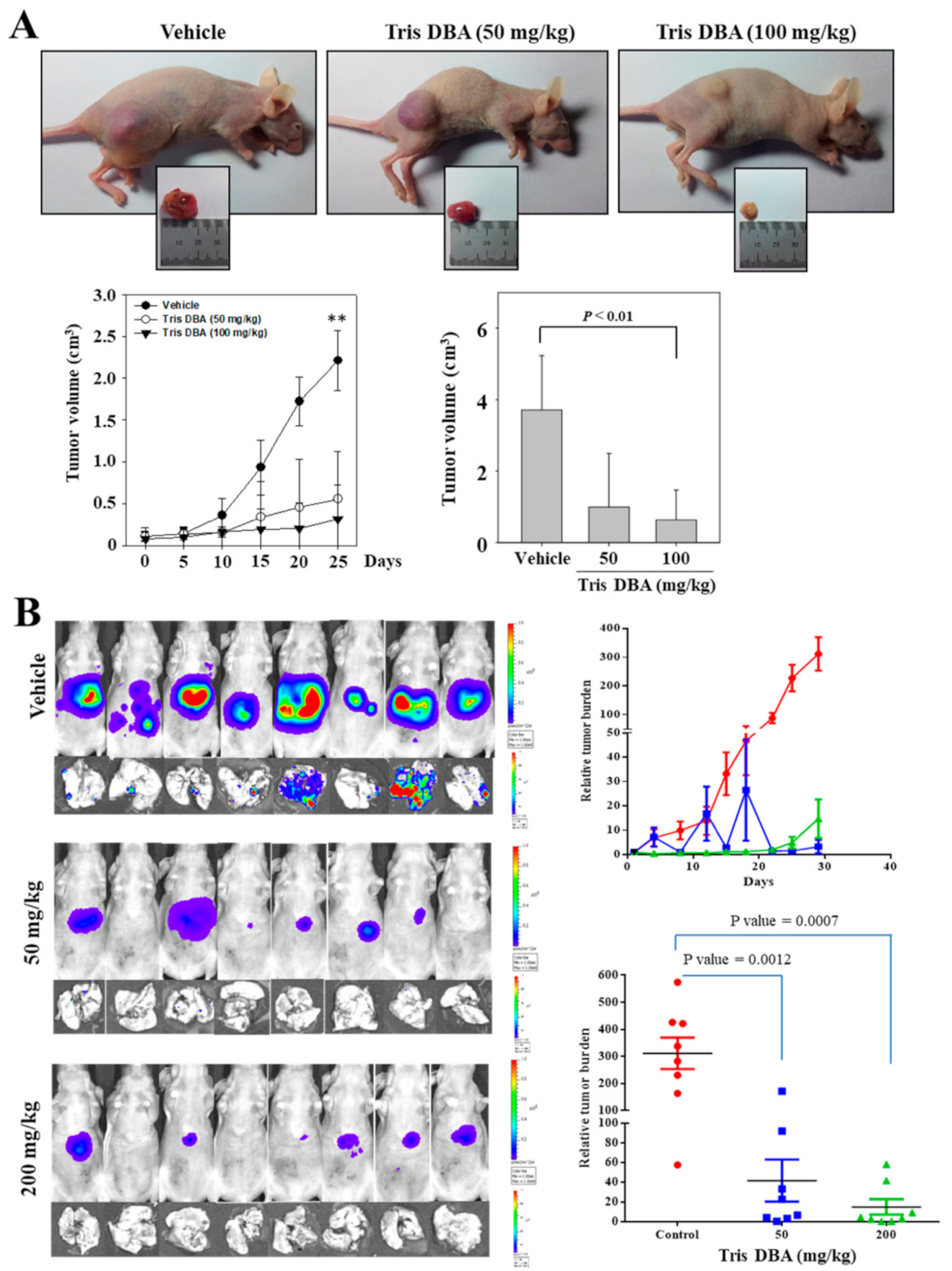 Cancers 13 05479 g007 550