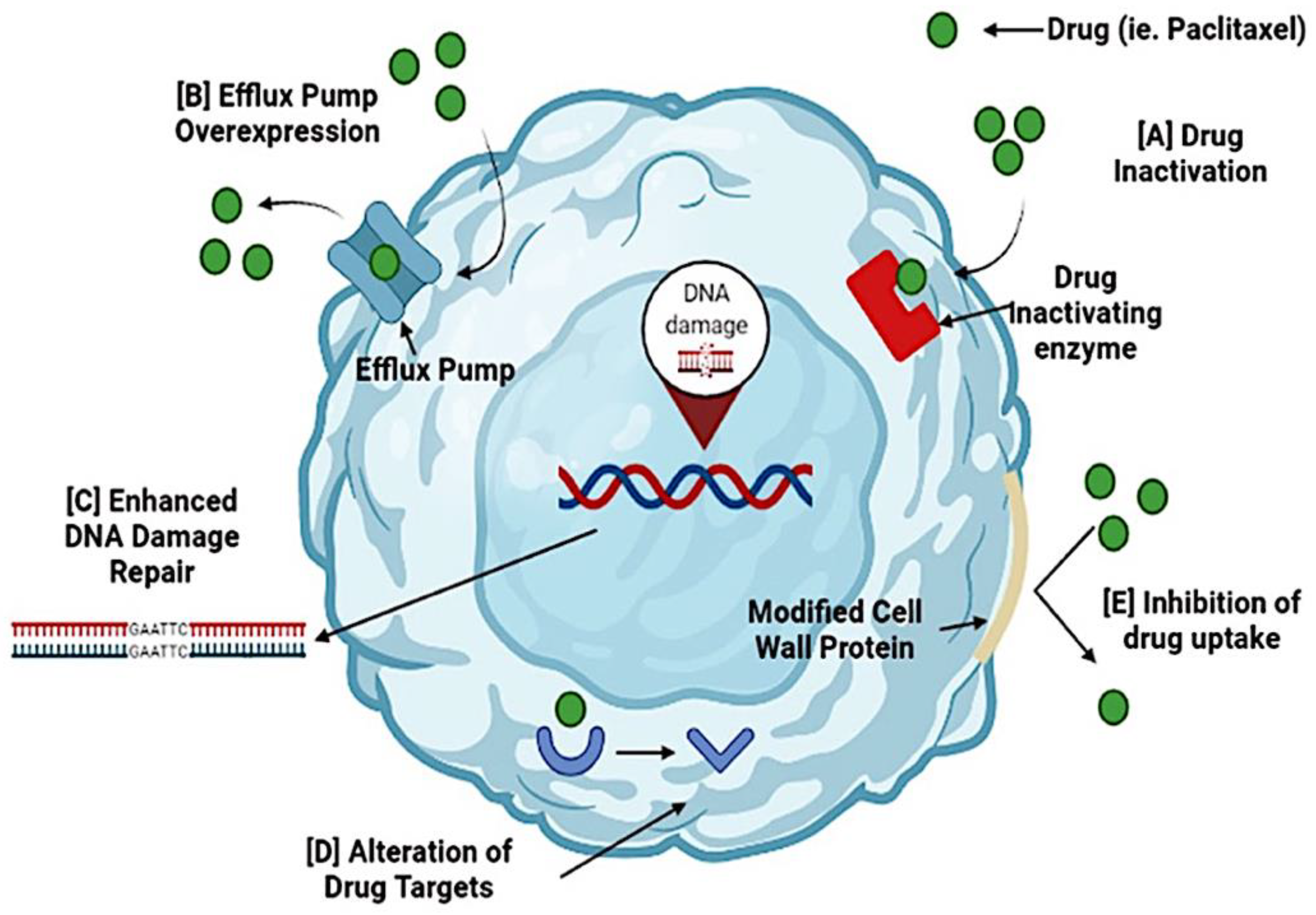 Cancers 13 05480 g001 Cancers 13 05480 g001