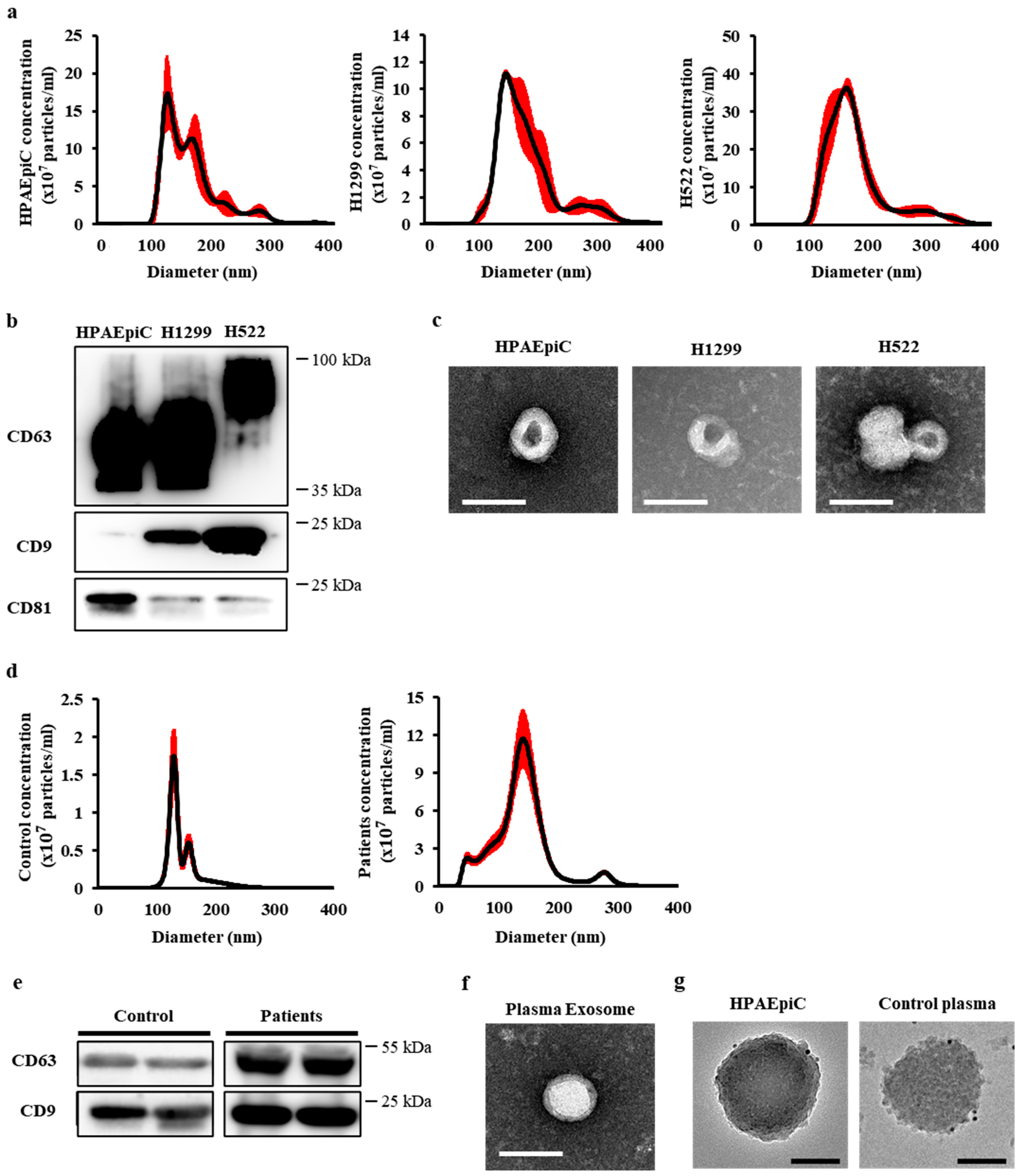 Cancers 13 05482 g001 Cancers 13 05482 g001