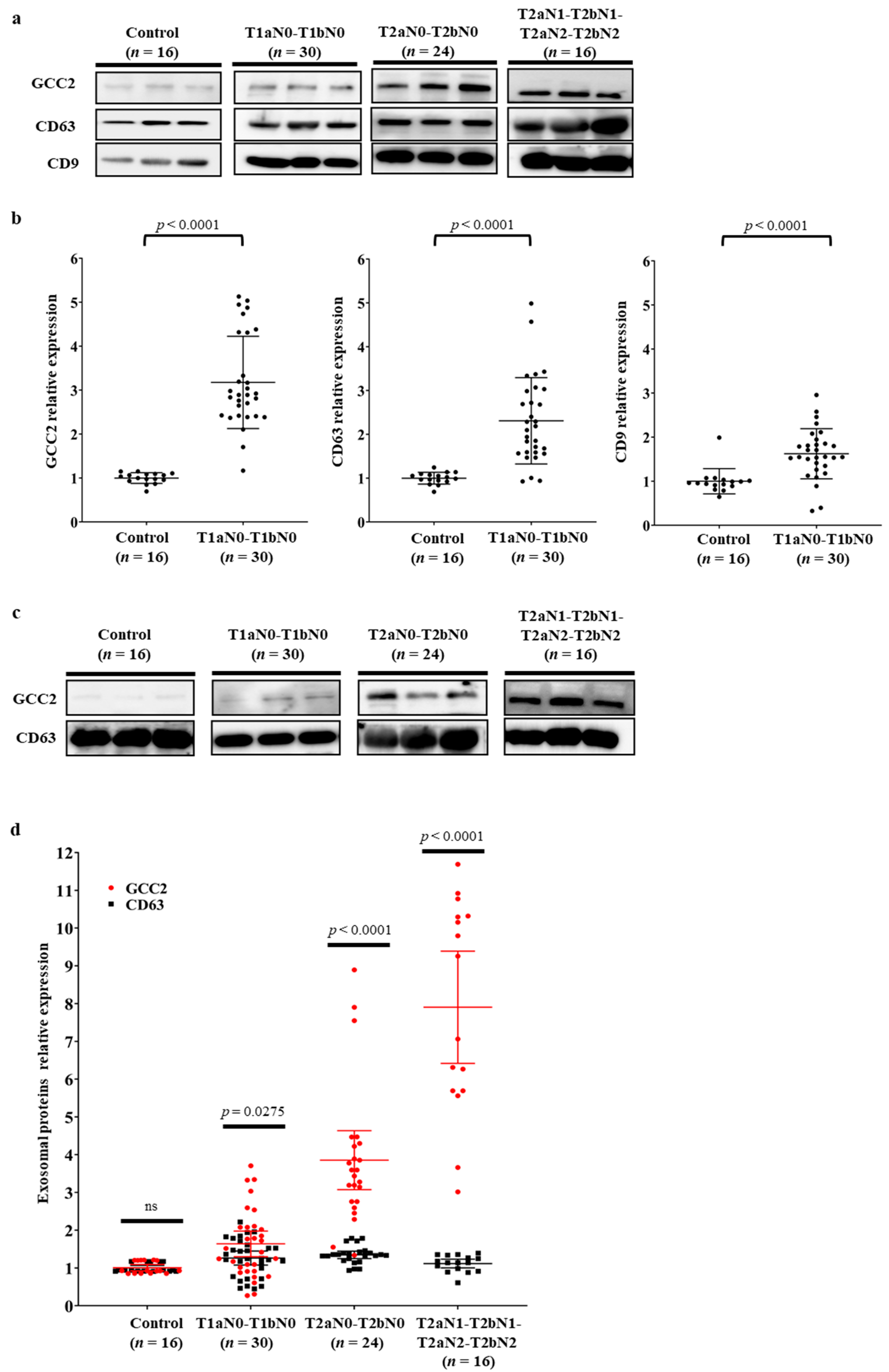 Cancers 13 05482 g003 Cancers 13 05482 g003