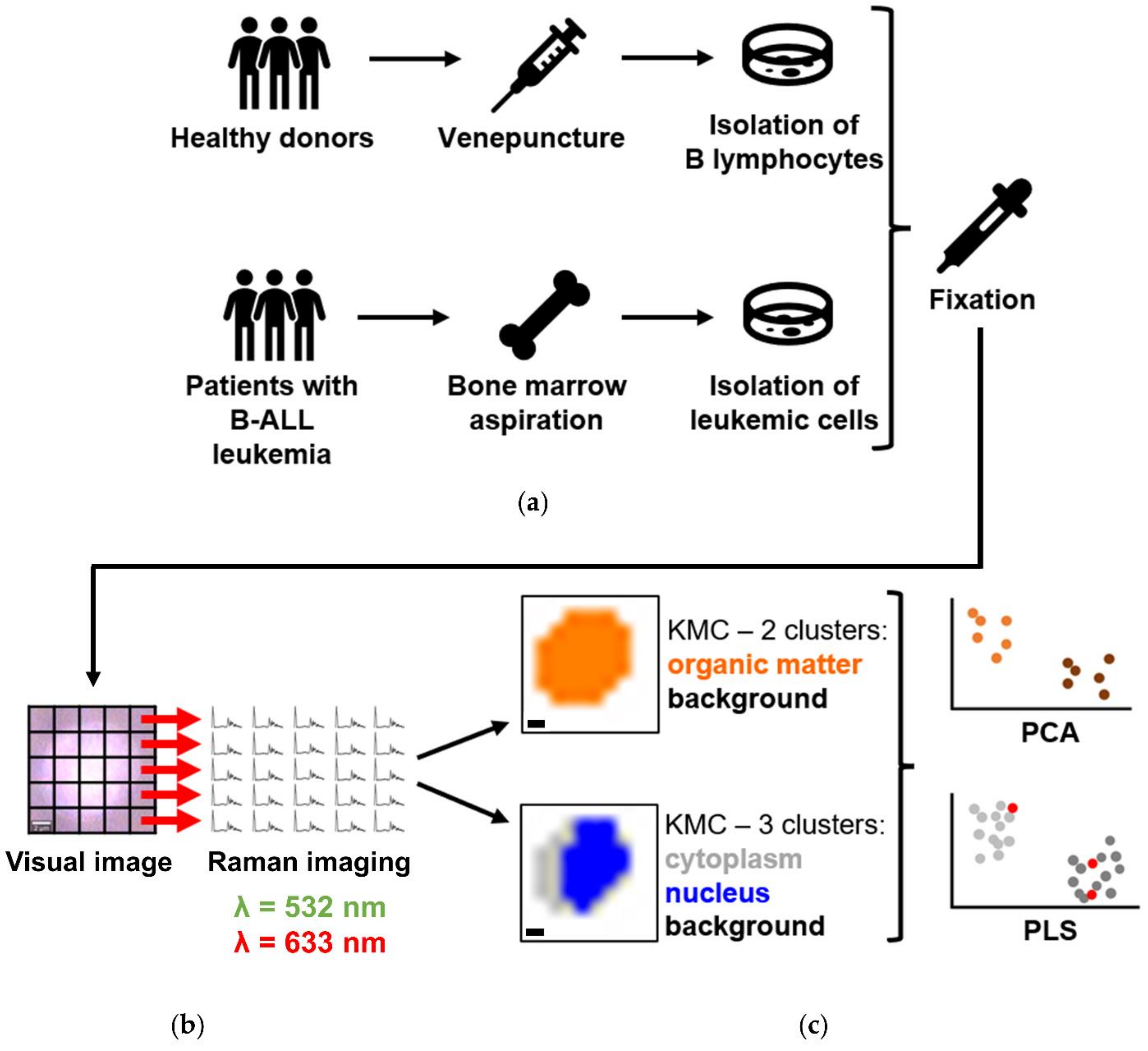 Cancers 13 05483 g001