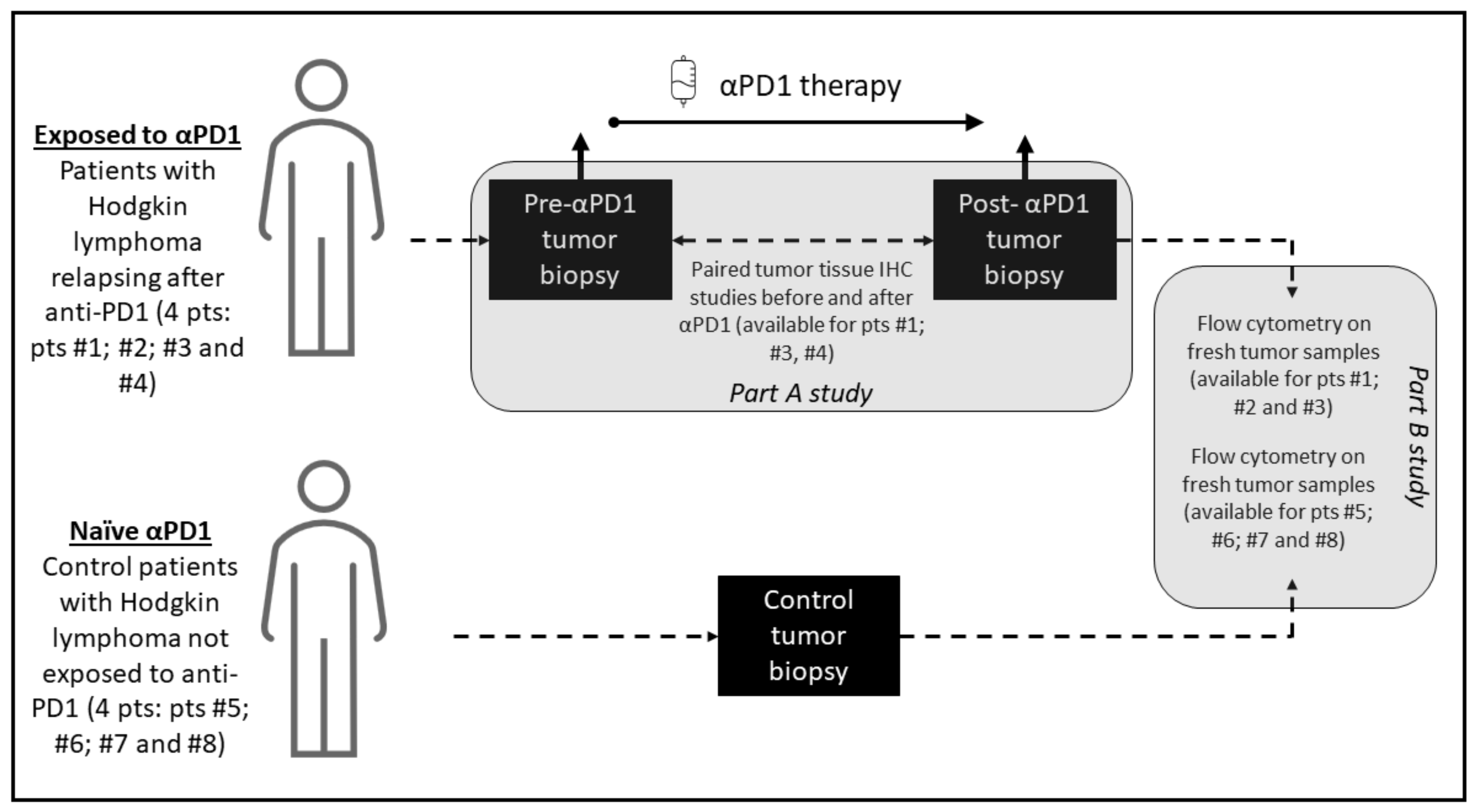 Cancers 13 05487 g001 550