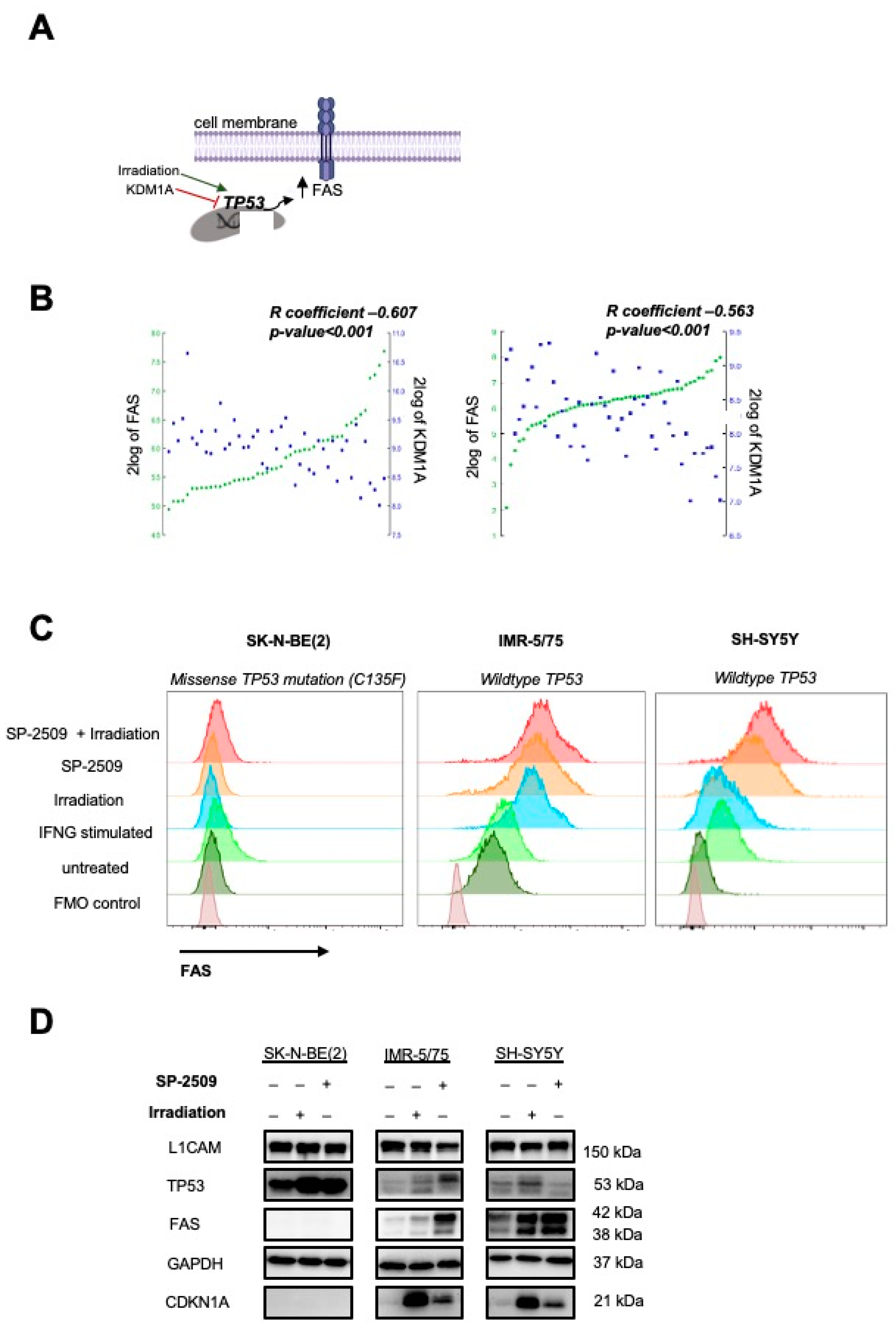 Cancers 13 05489 g002
