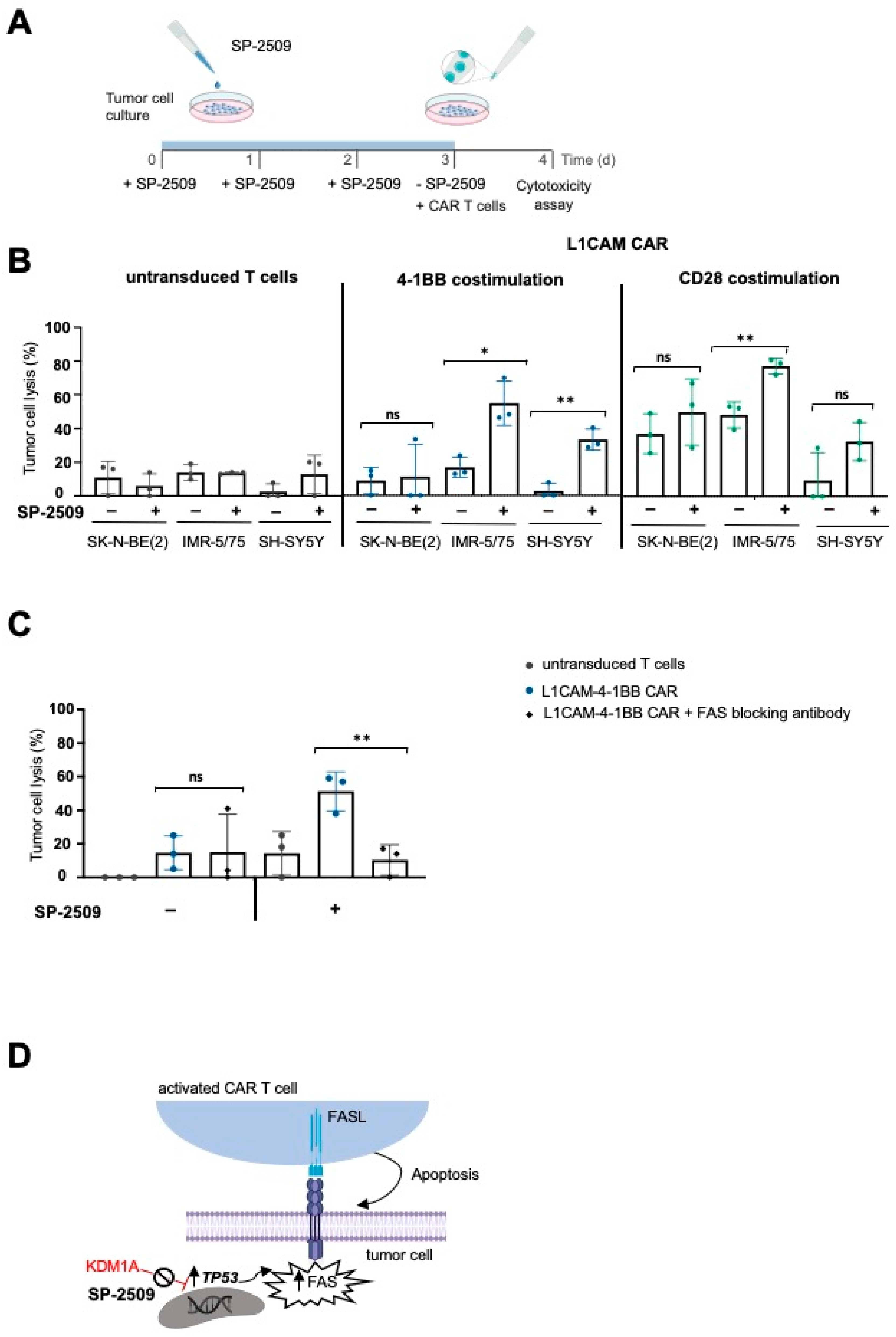Cancers 13 05489 g003