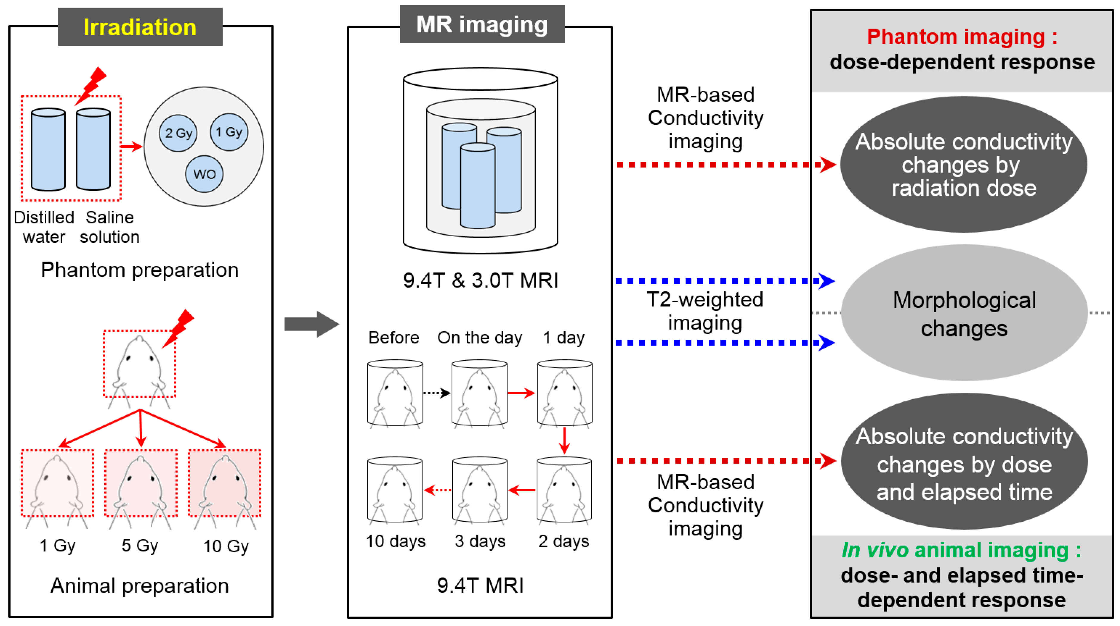 Cancers 13 05490 g001 Cancers 13 05490 g001