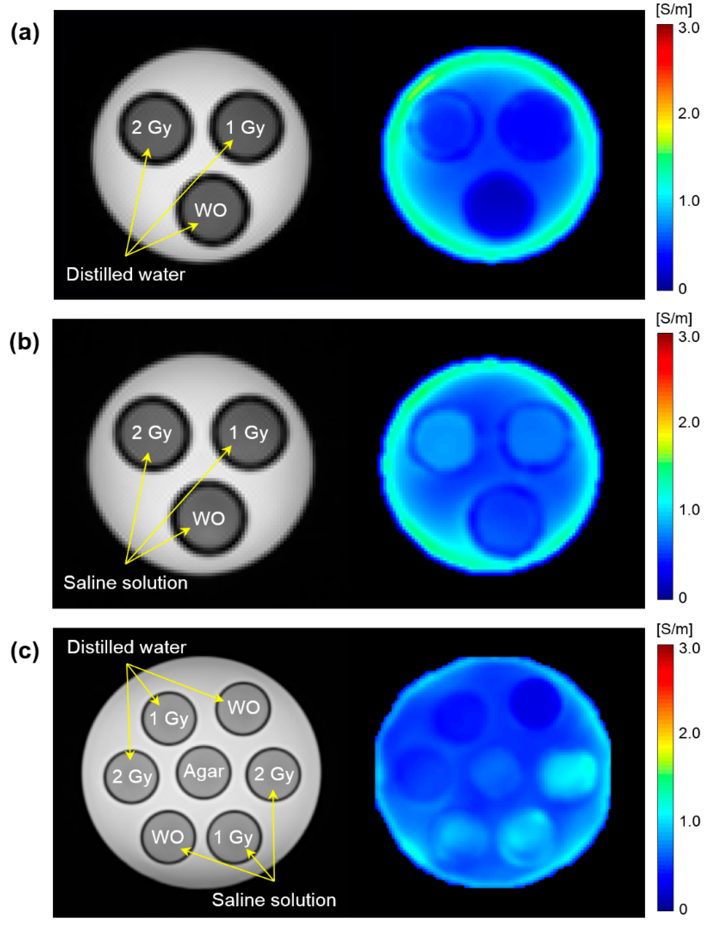 Cancers 13 05490 g002 Cancers 13 05490 g002