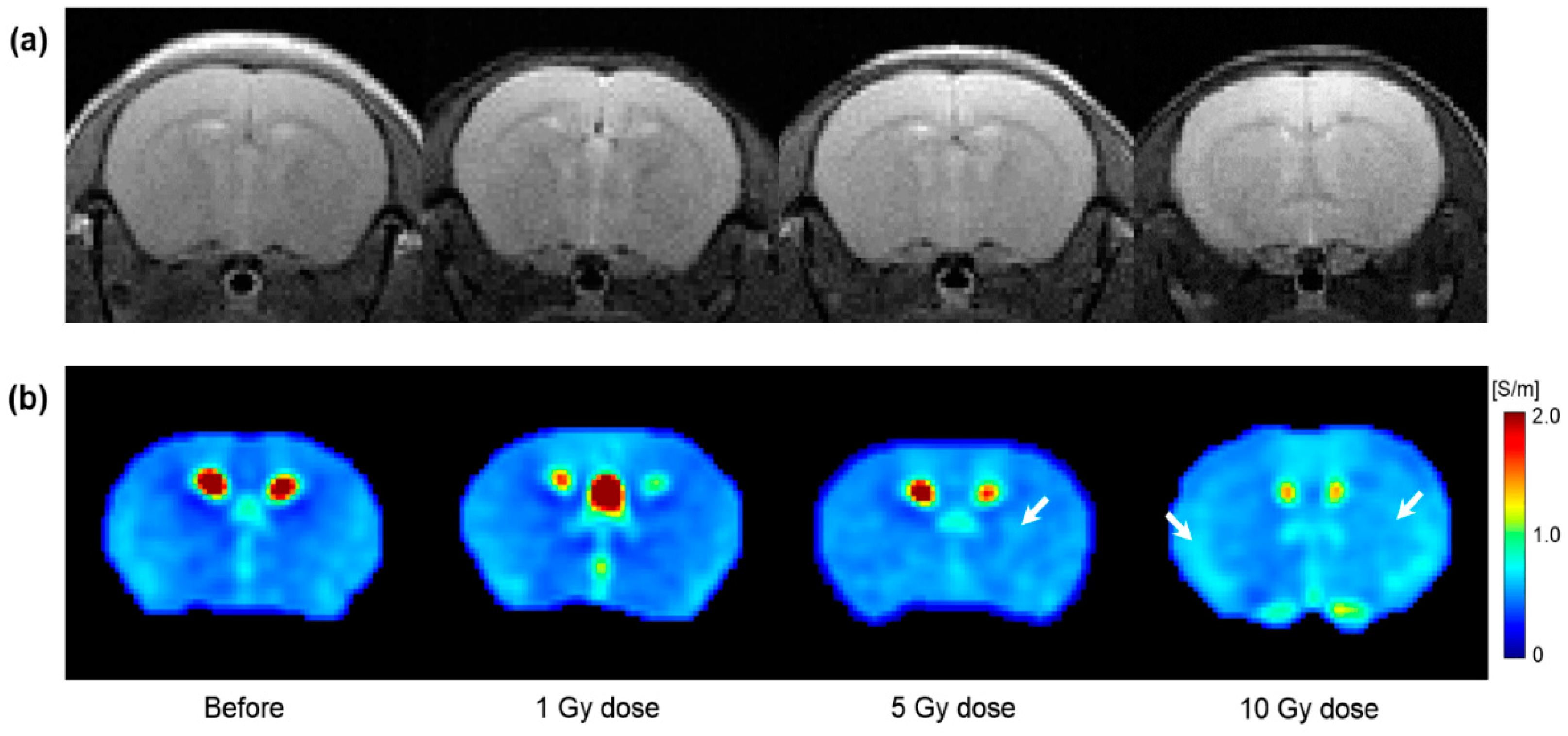 Cancers 13 05490 g004 Cancers 13 05490 g004