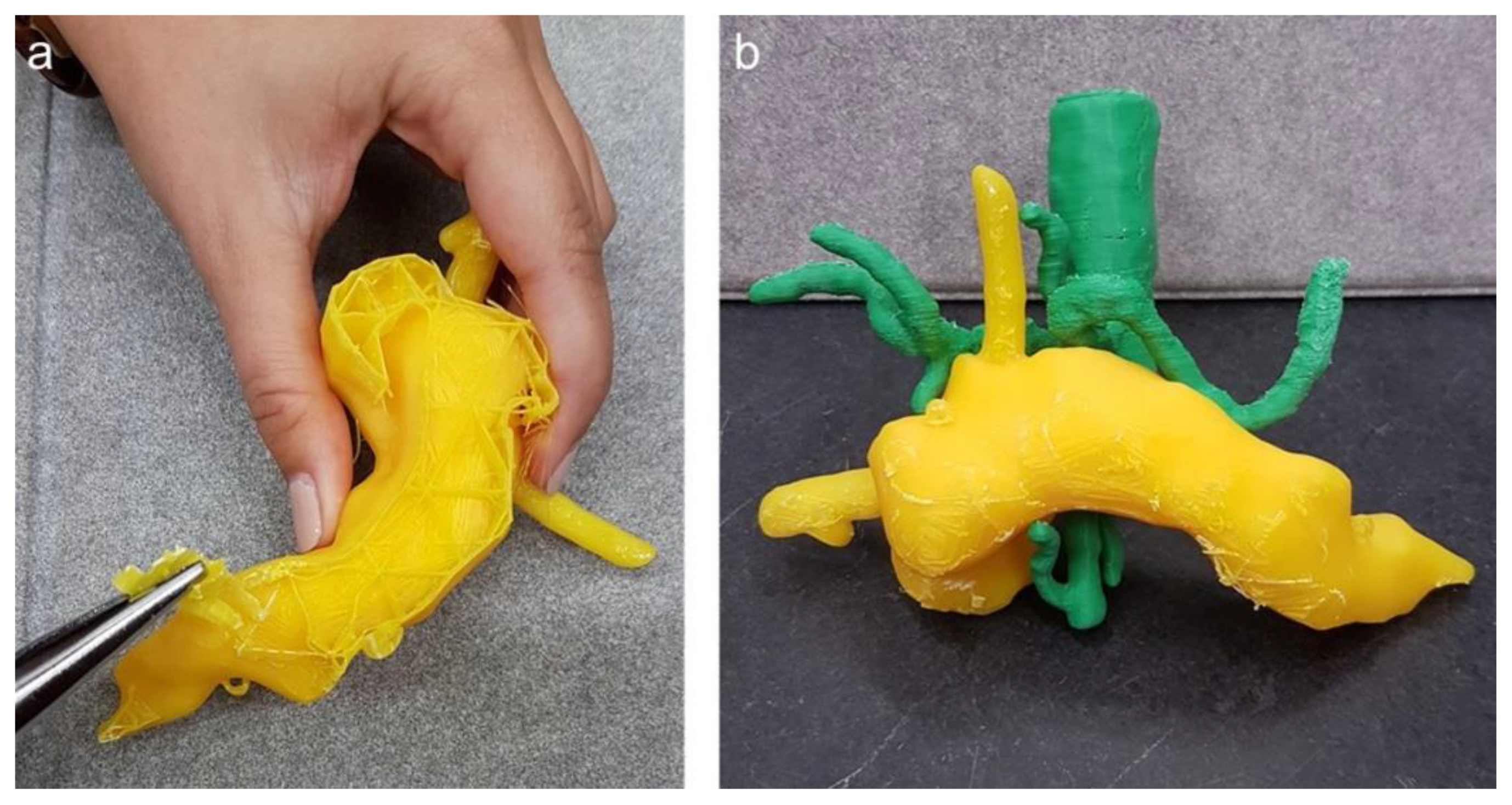 Cancers 13 05496 g007