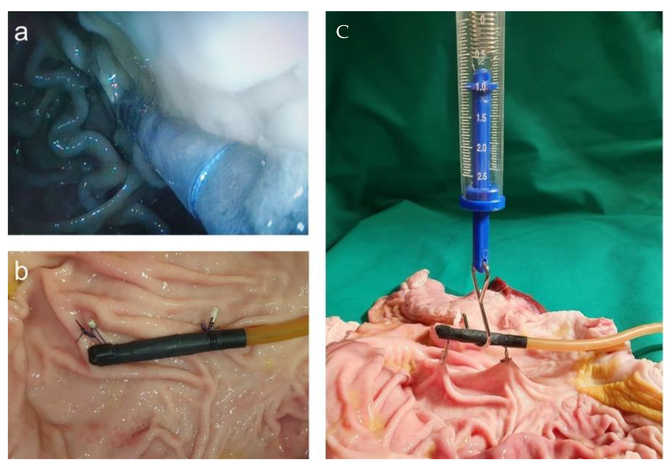 Cancers 13 05496 g012