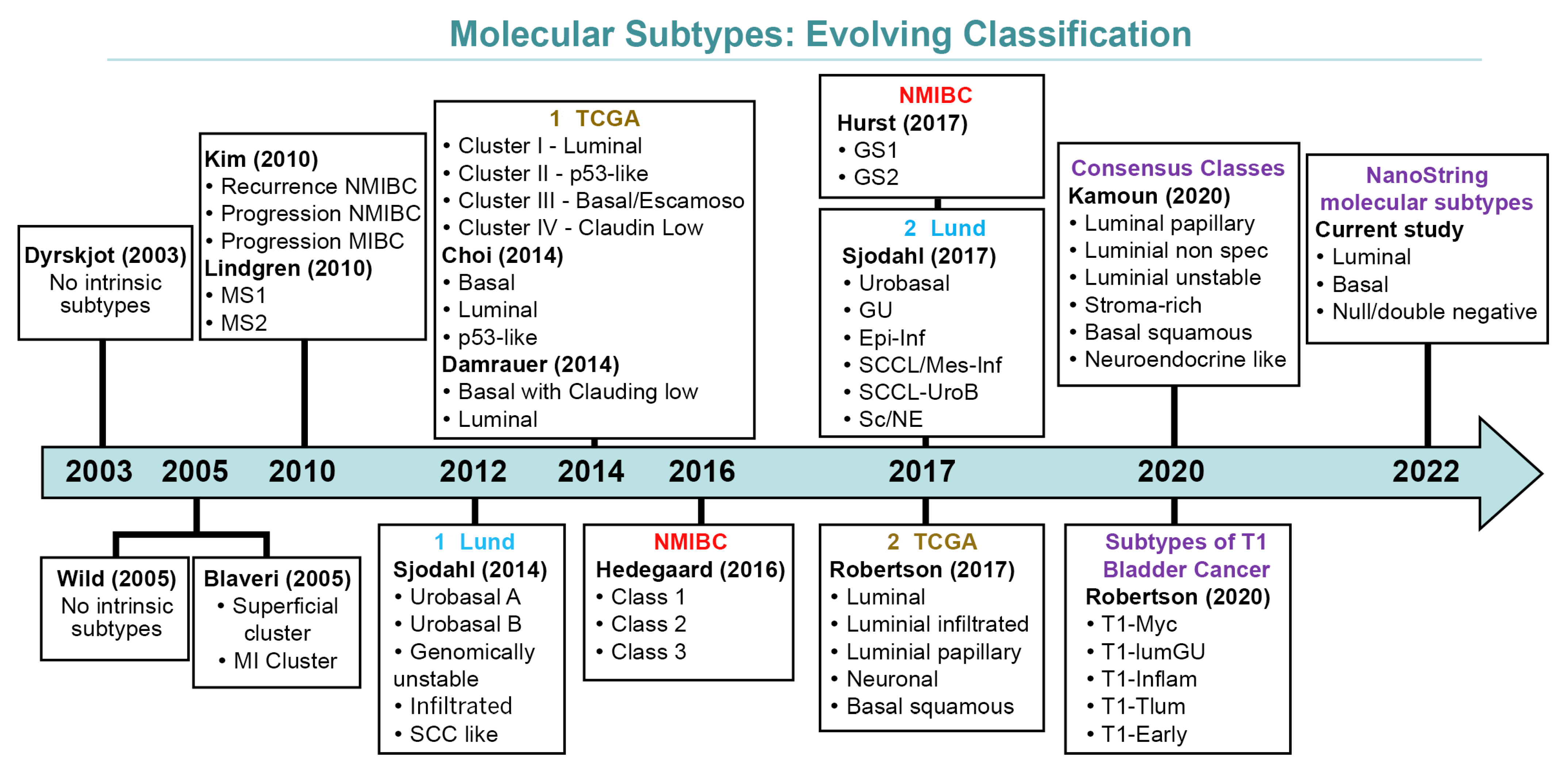 Cancers 13 05500 g001