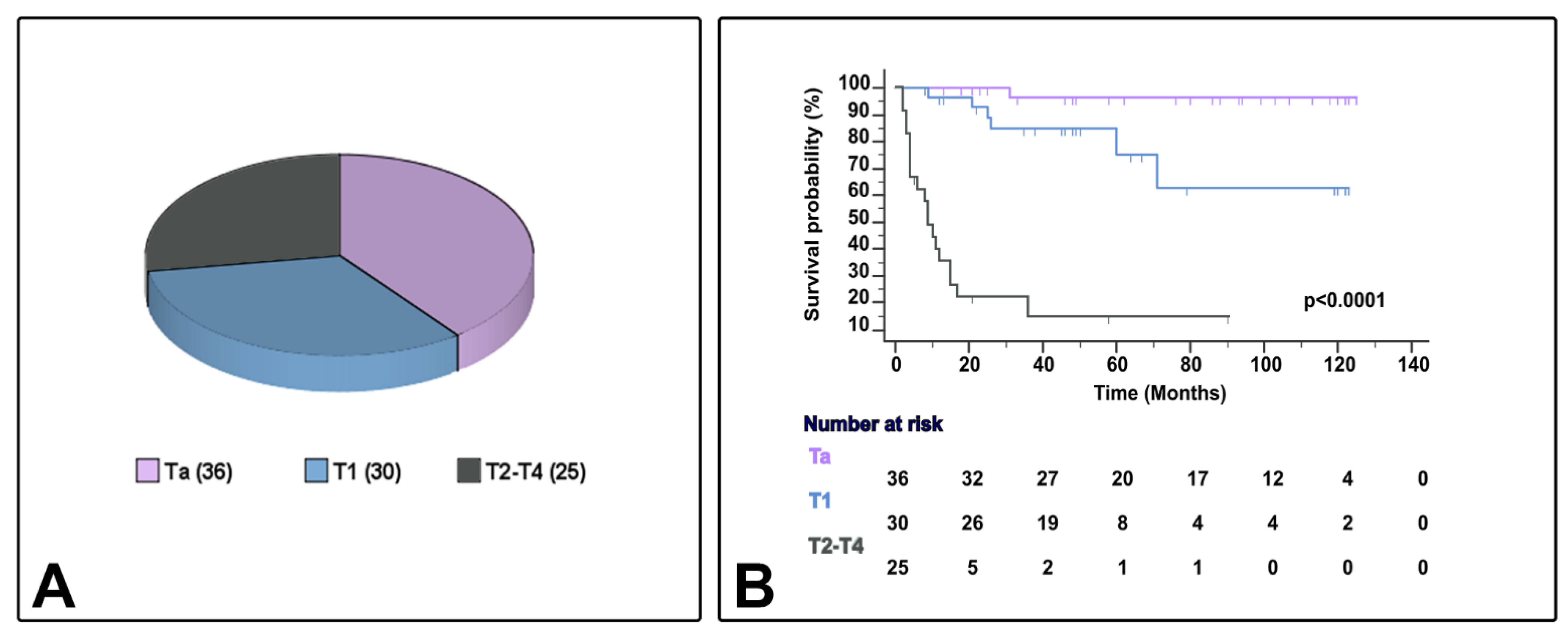 Cancers 13 05500 g002