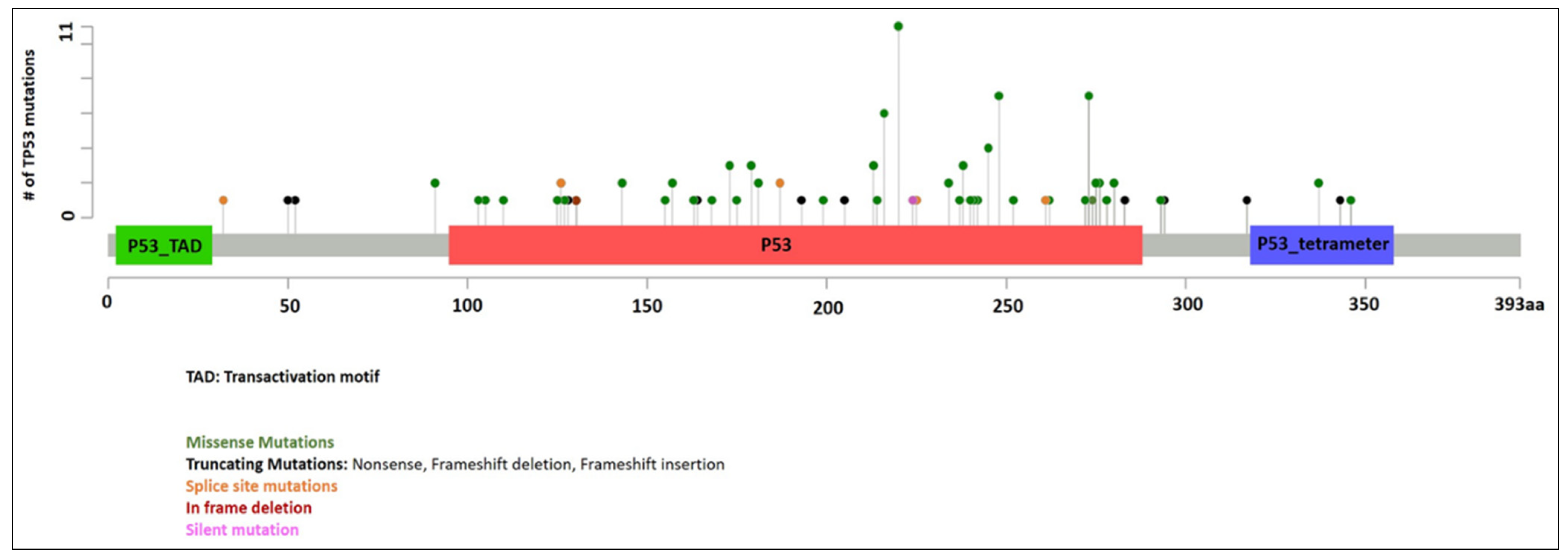 Cancers 13 05502 g001