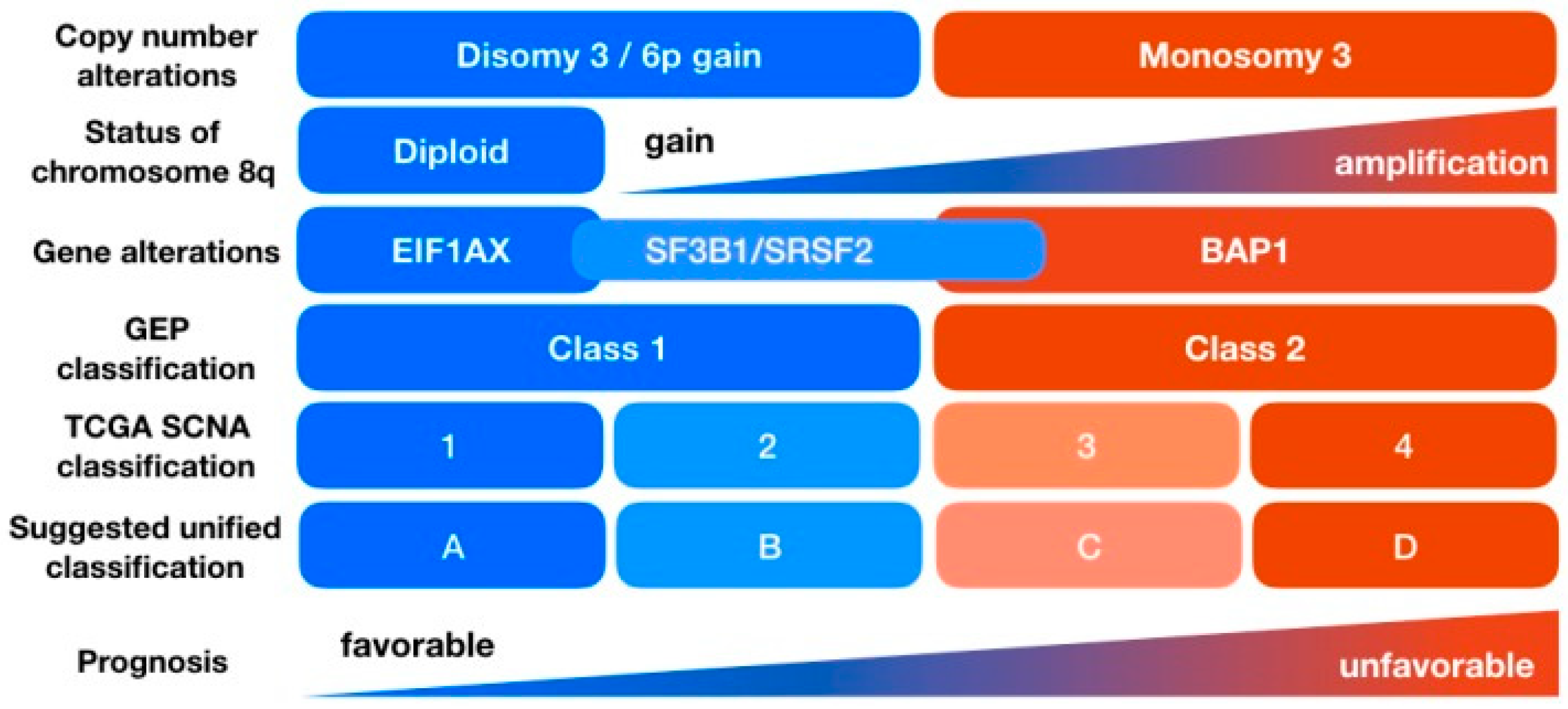Cancers 13 05503 g001