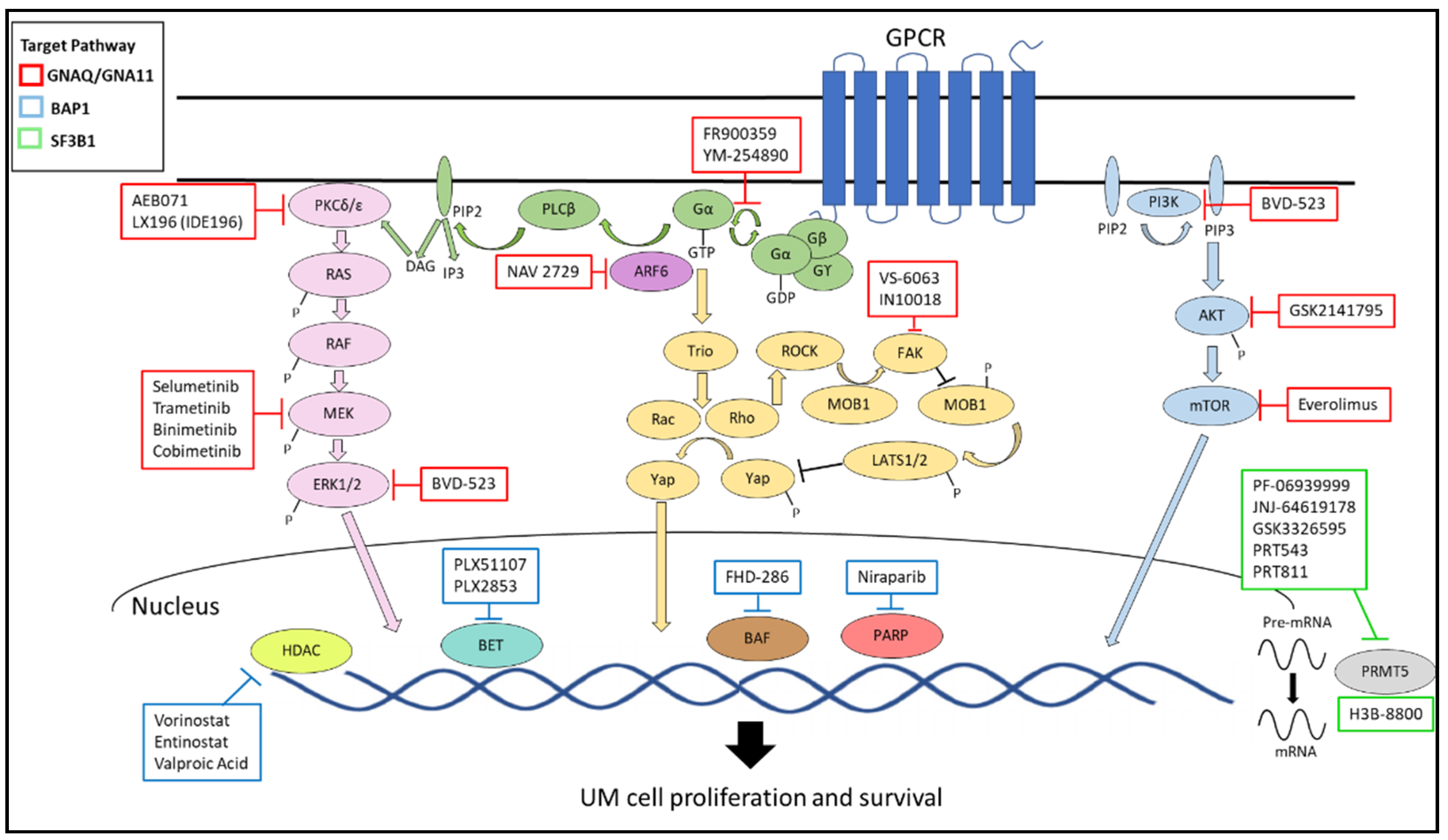Cancers 13 05503 g002
