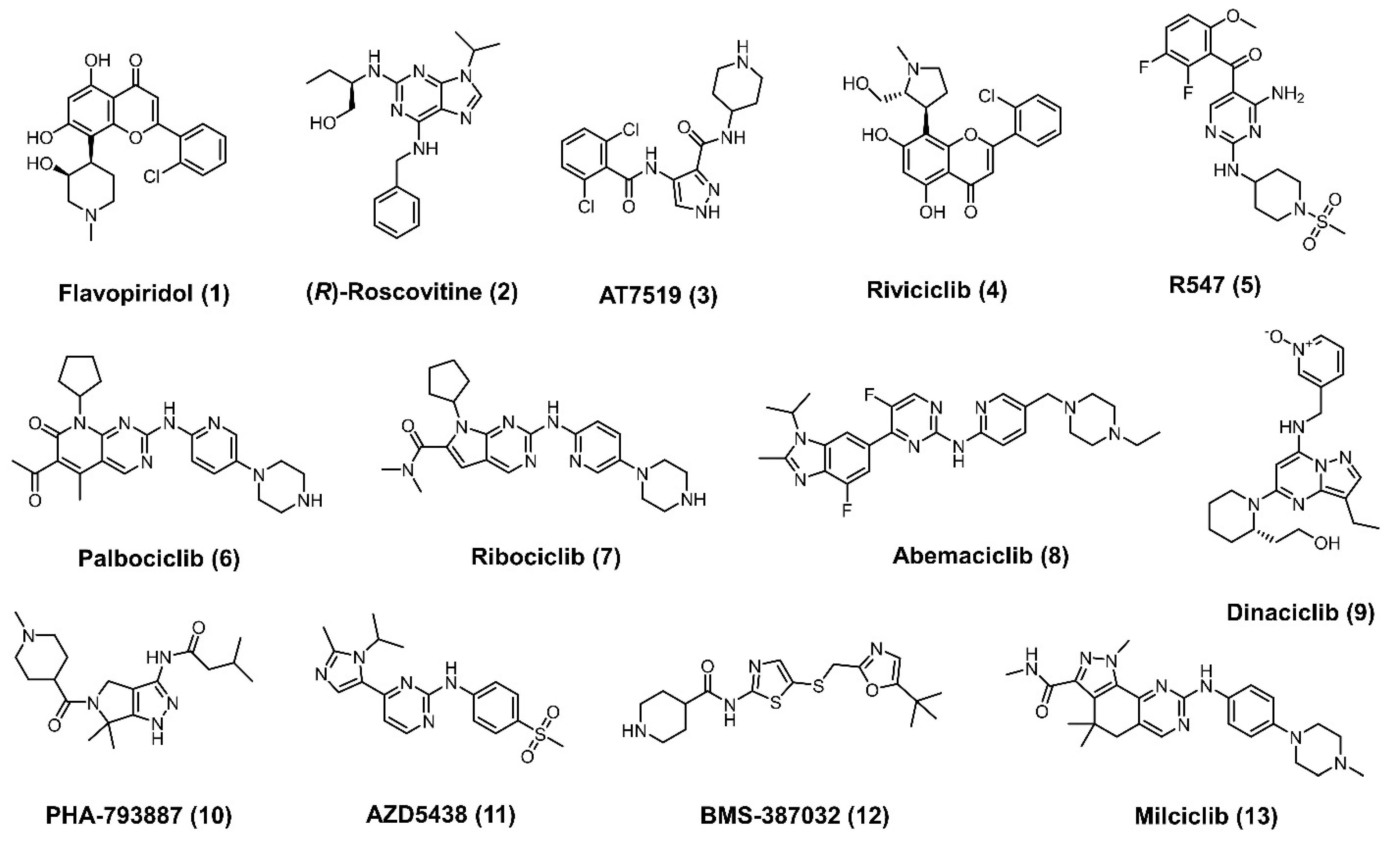 Cancers 13 05506 g001 Cancers 13 05506 g001