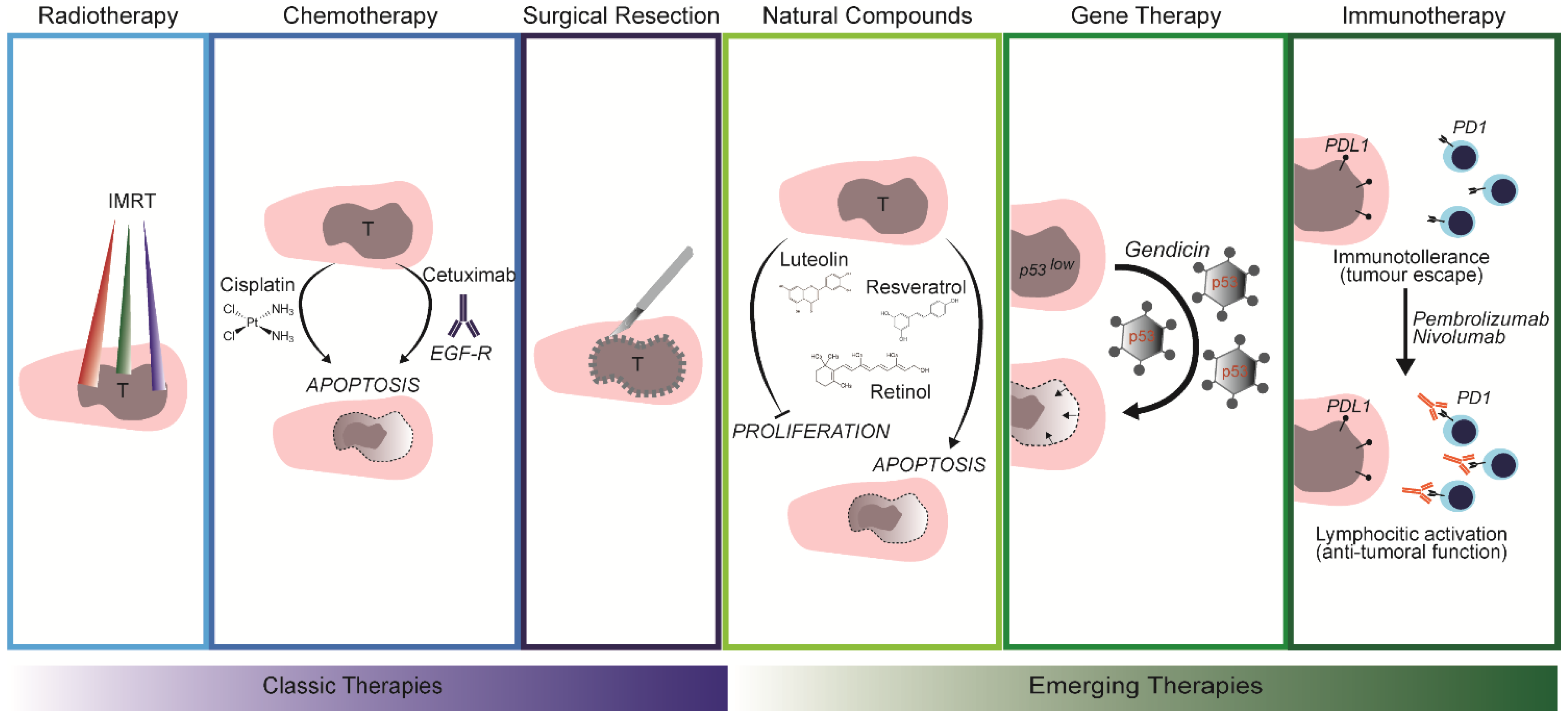 Cancers 13 05515 g002 Cancers 13 05515 g002