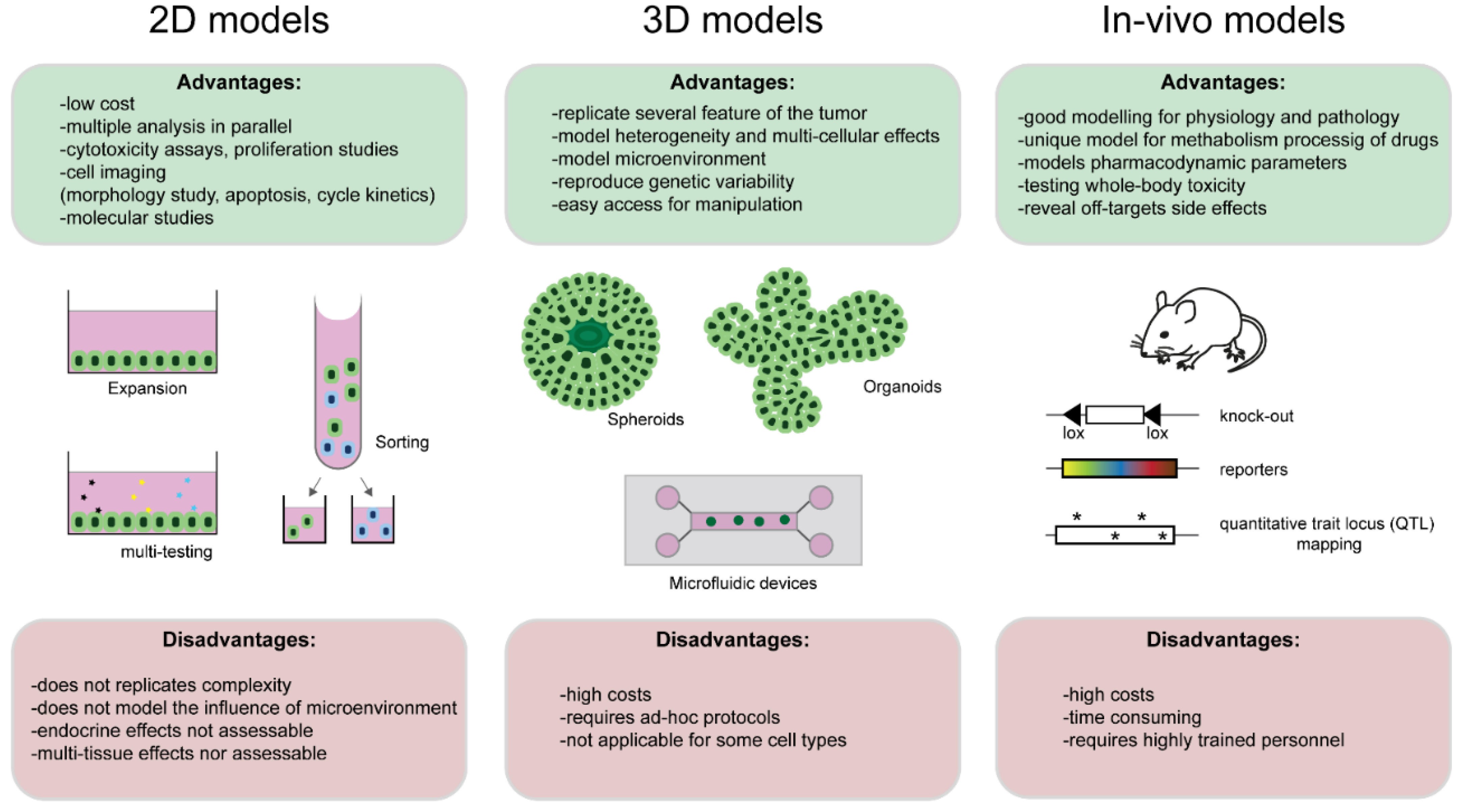 Cancers 13 05515 g003 Cancers 13 05515 g003