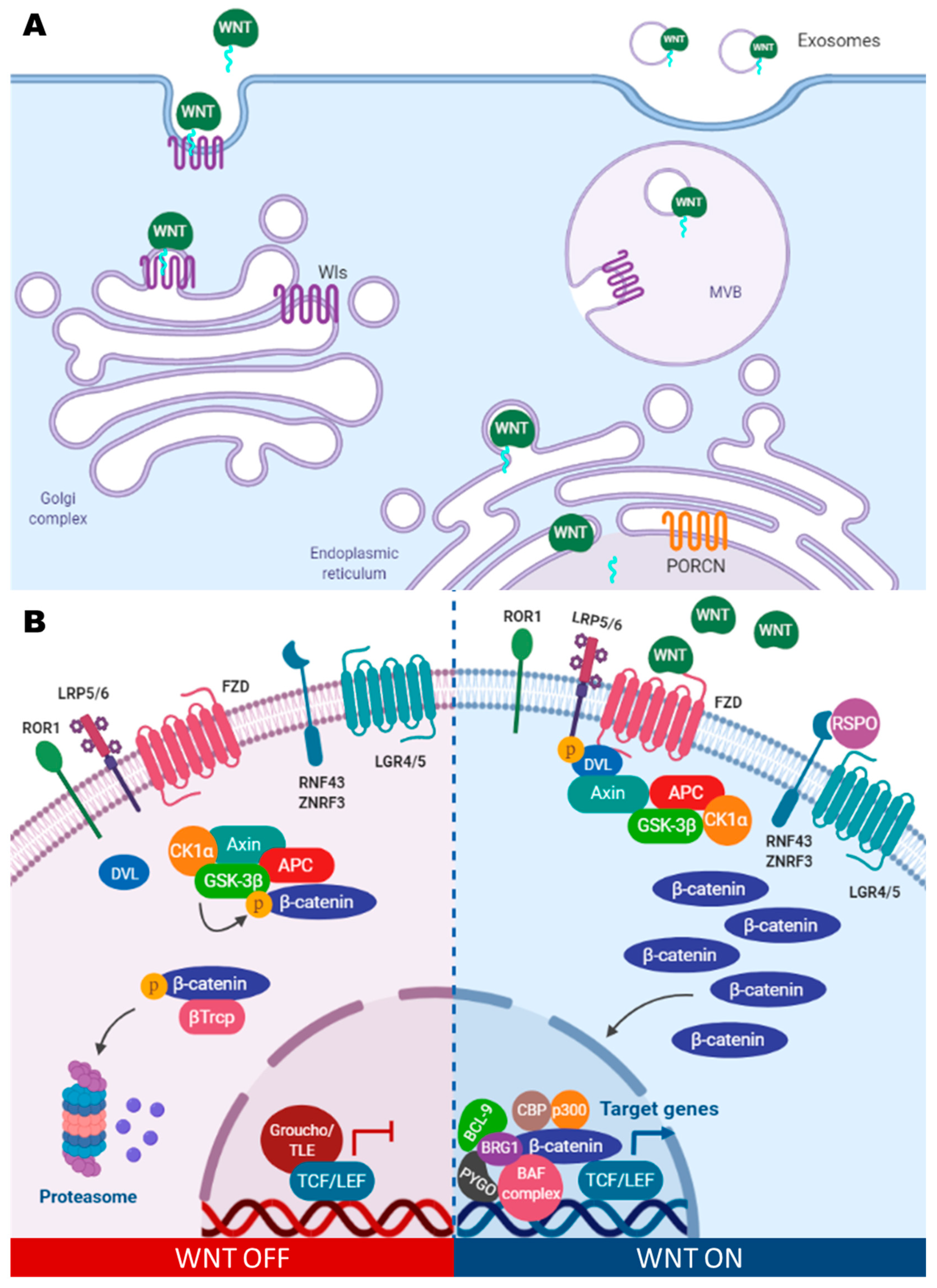 Cancers 13 05521 g001 Cancers 13 05521 g001