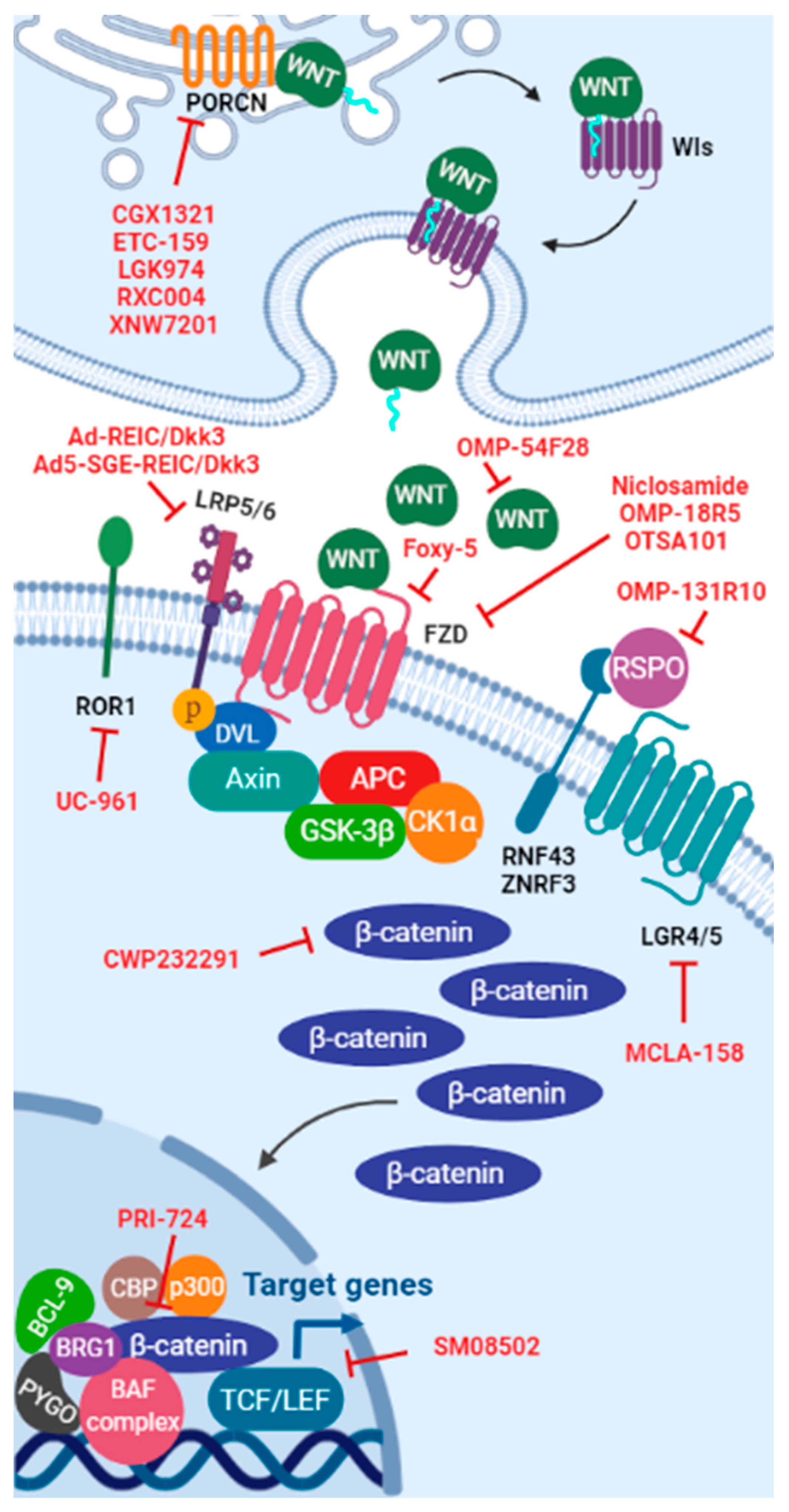 Cancers 13 05521 g003 Cancers 13 05521 g003
