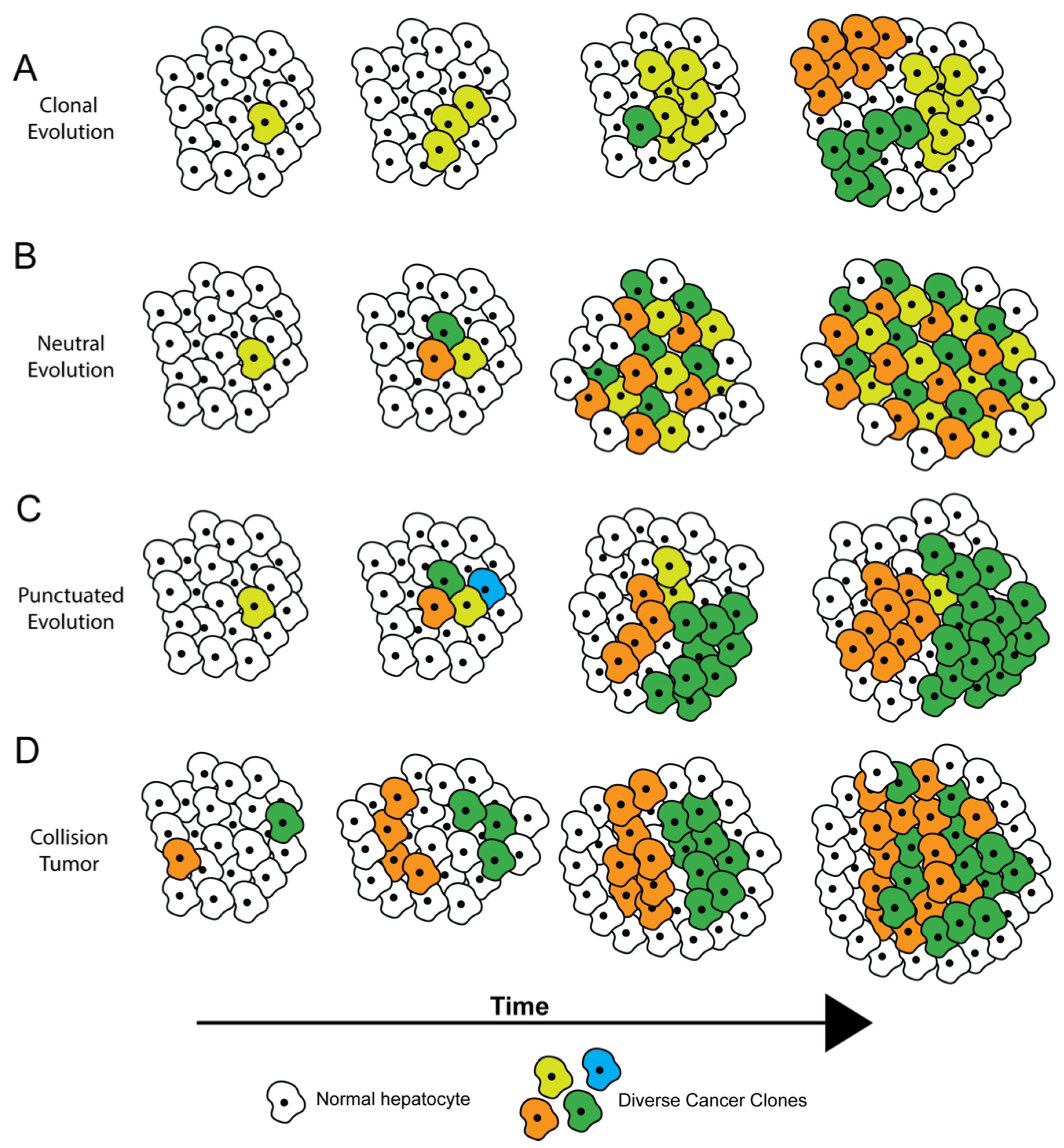 Cancers 13 05524 g001