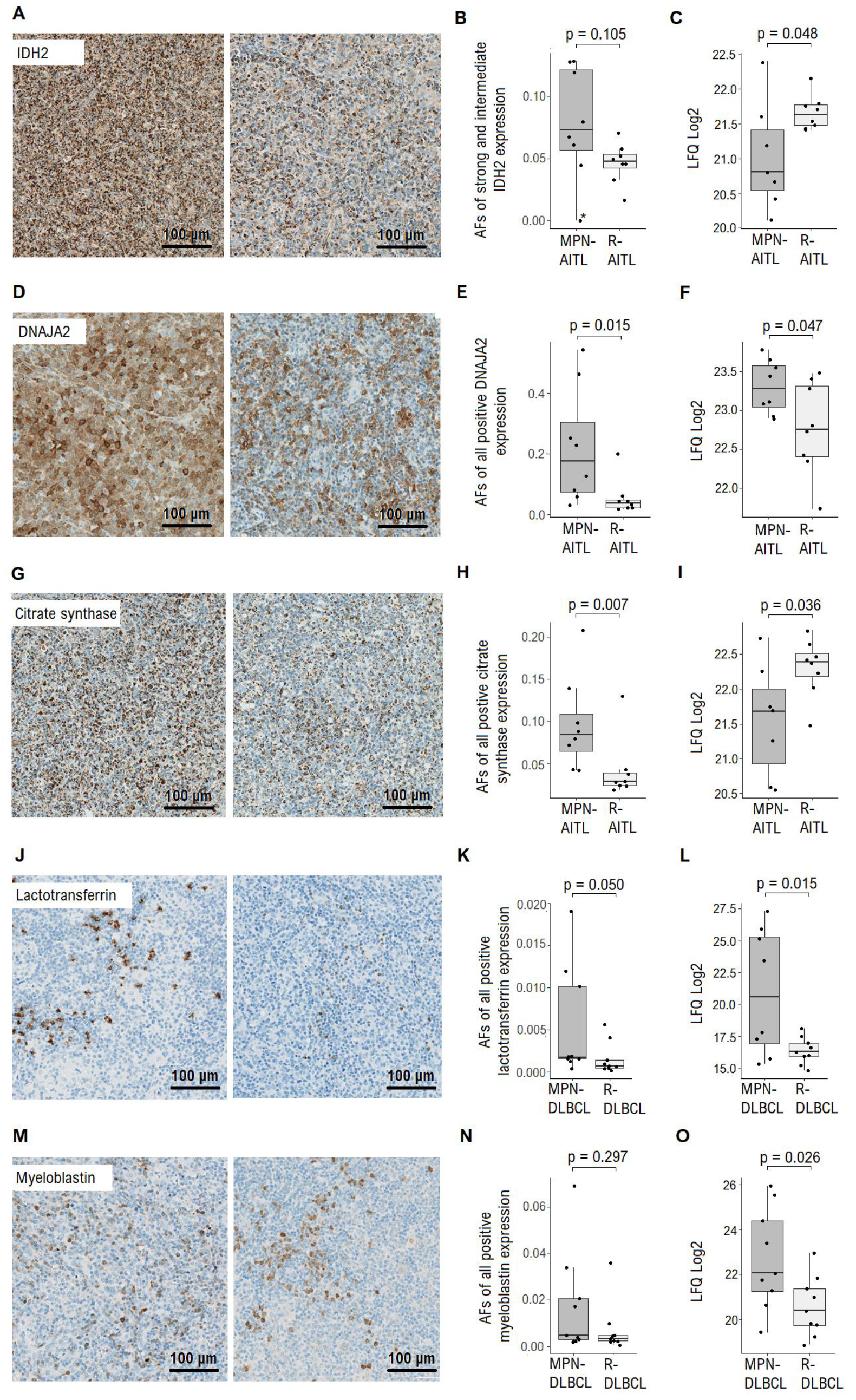 Cancers 13 05526 g002