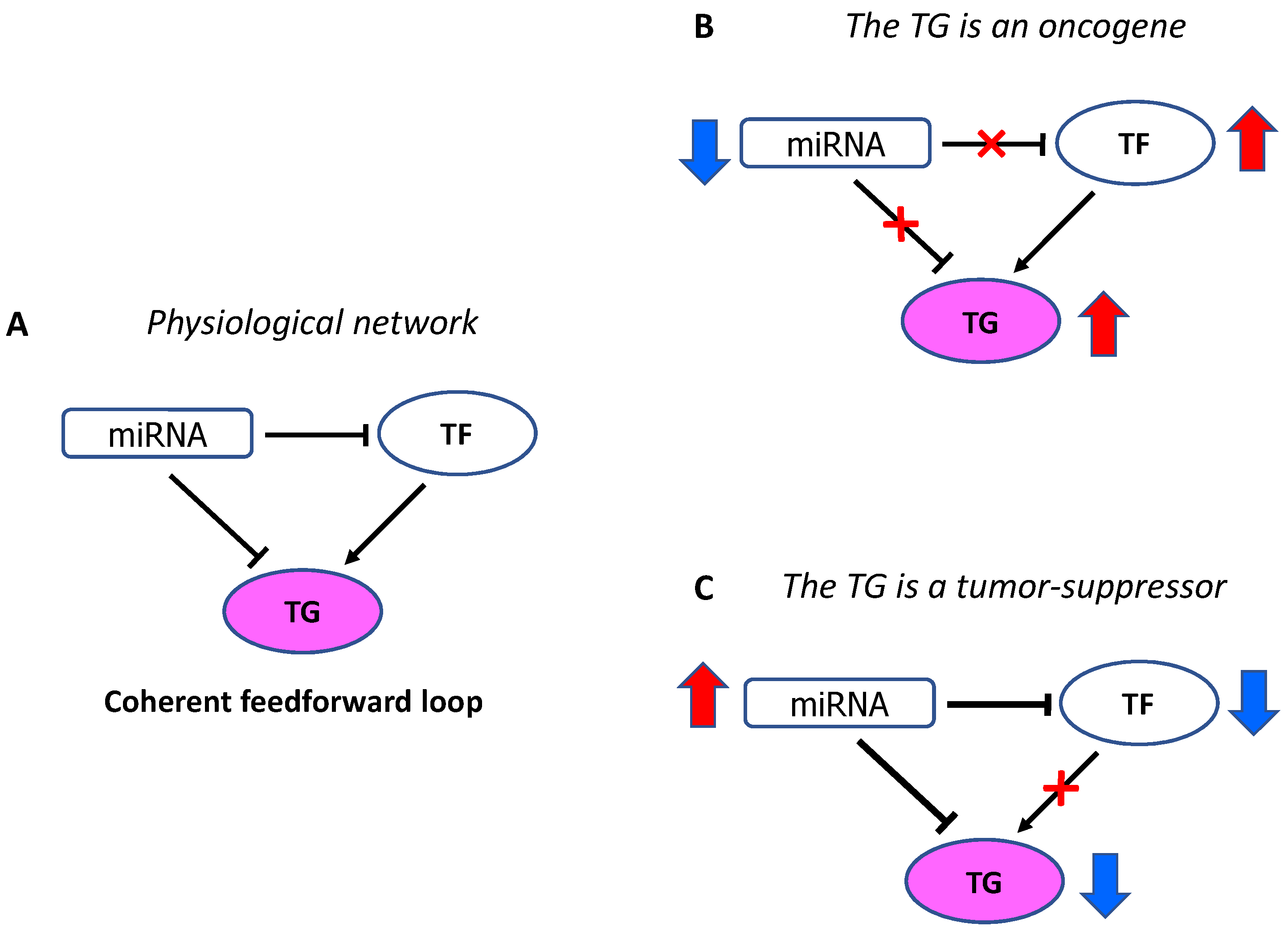 Cancers 13 05528 g002
