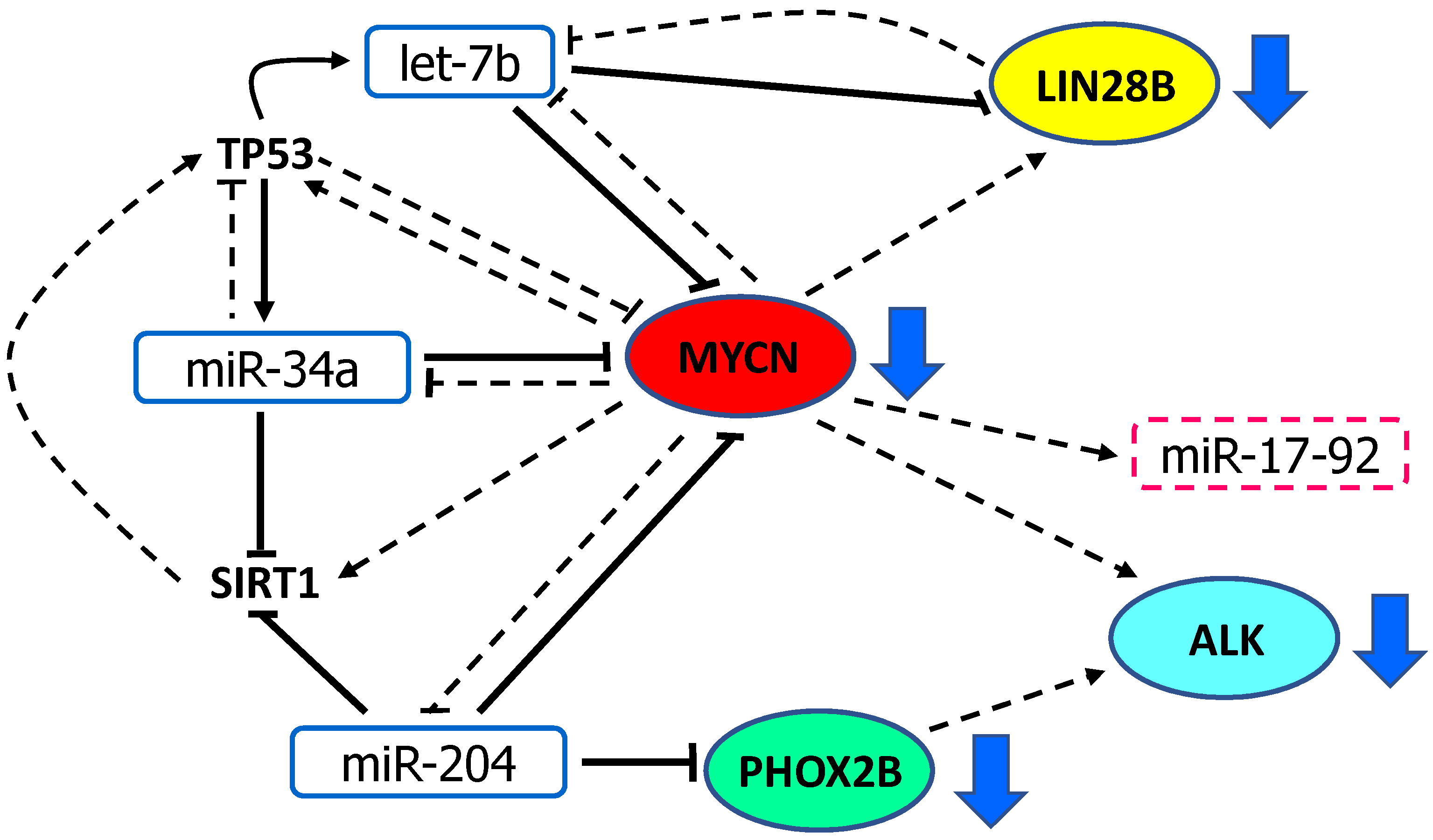 Cancers 13 05528 g003