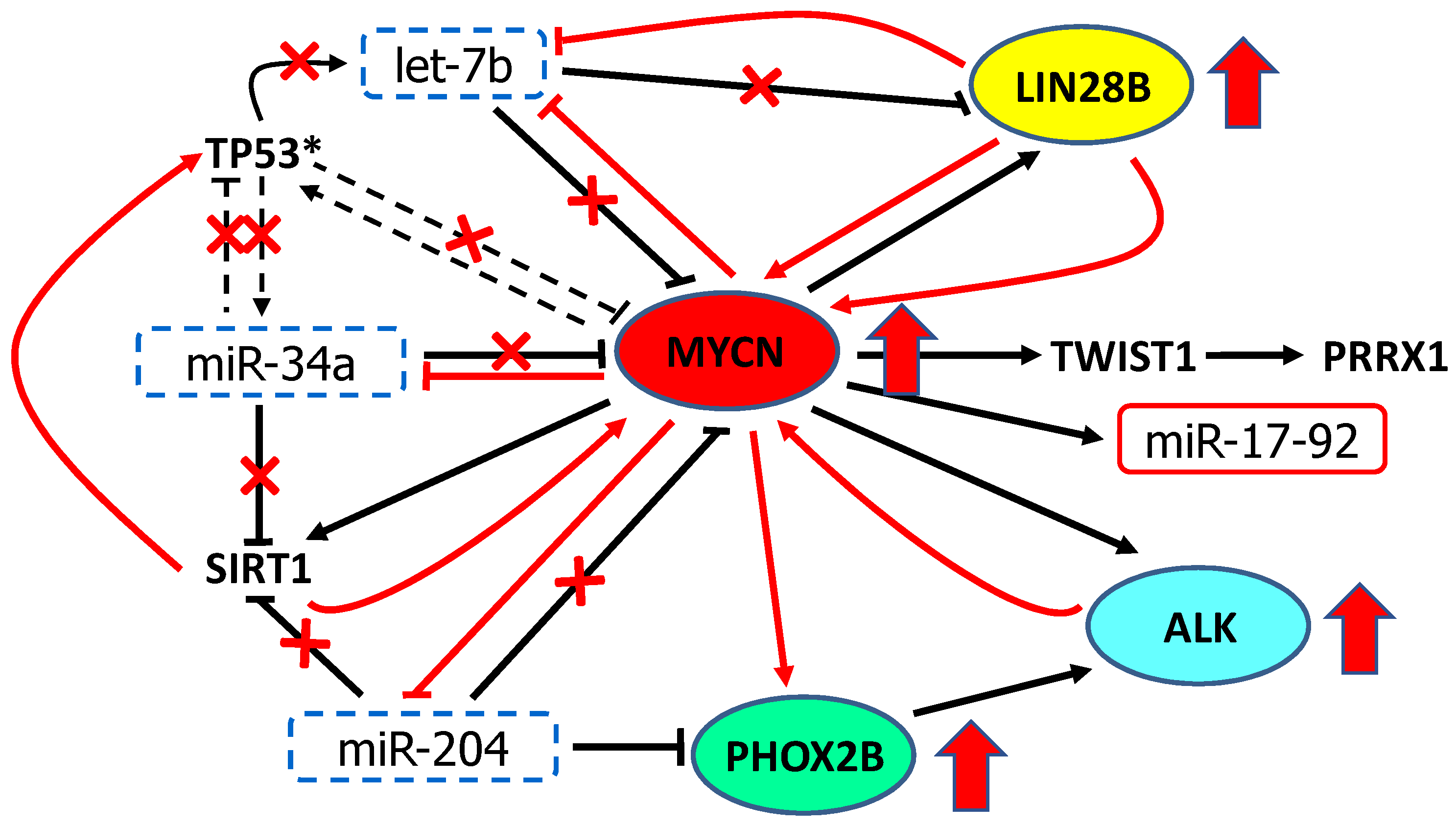 Cancers 13 05528 g004