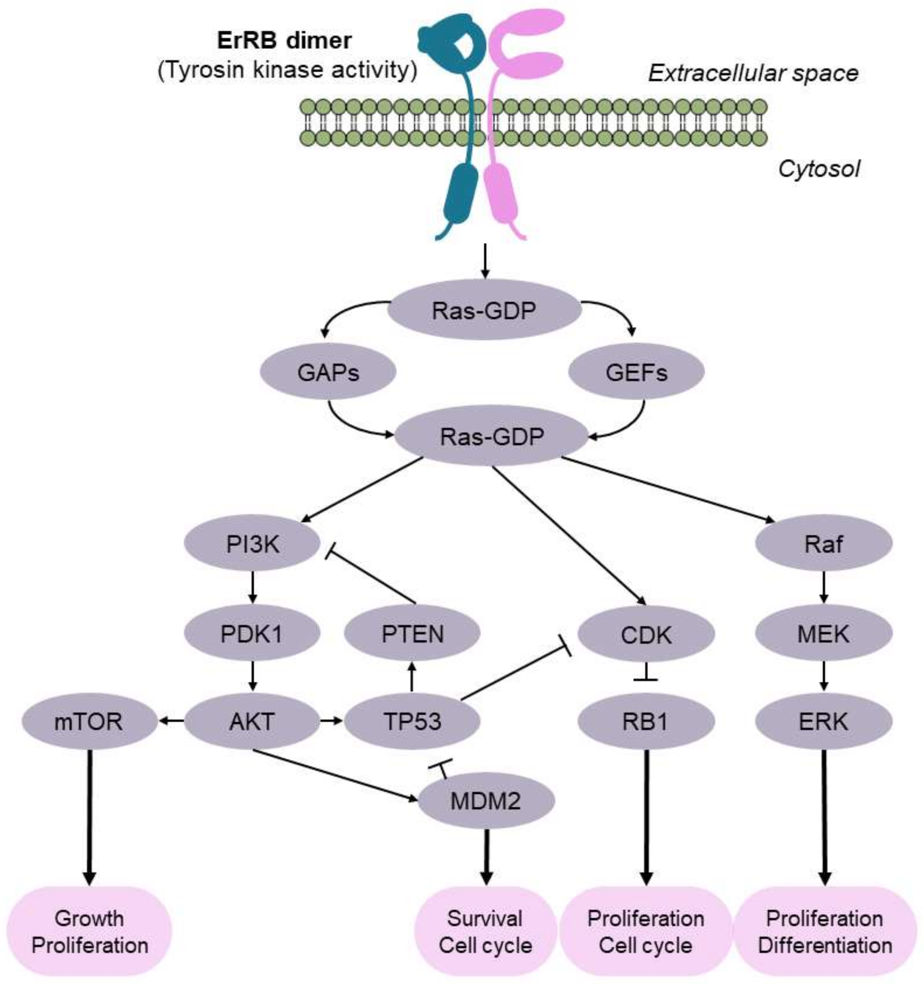 Cancers 13 05537 g003 Cancers 13 05537 g003