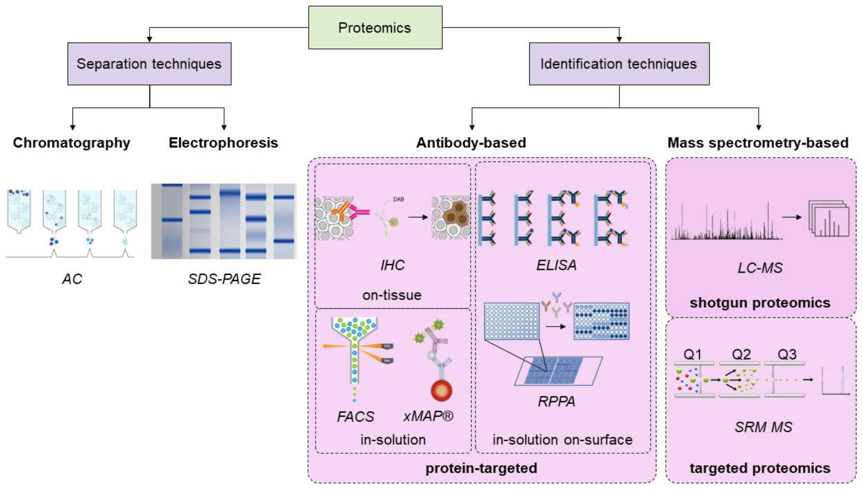 Cancers 13 05537 g005 Cancers 13 05537 g005