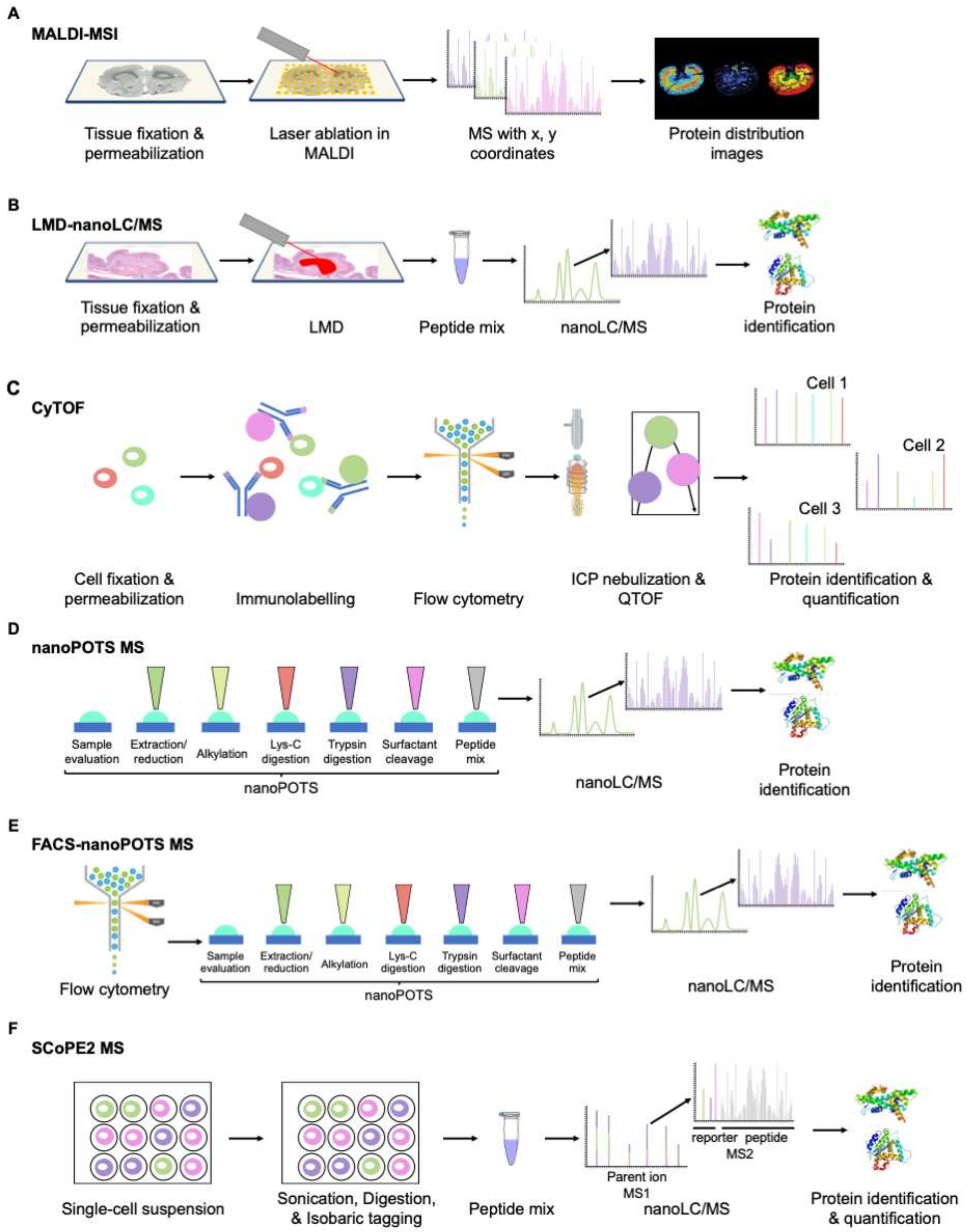 Cancers 13 05537 g006 Cancers 13 05537 g006