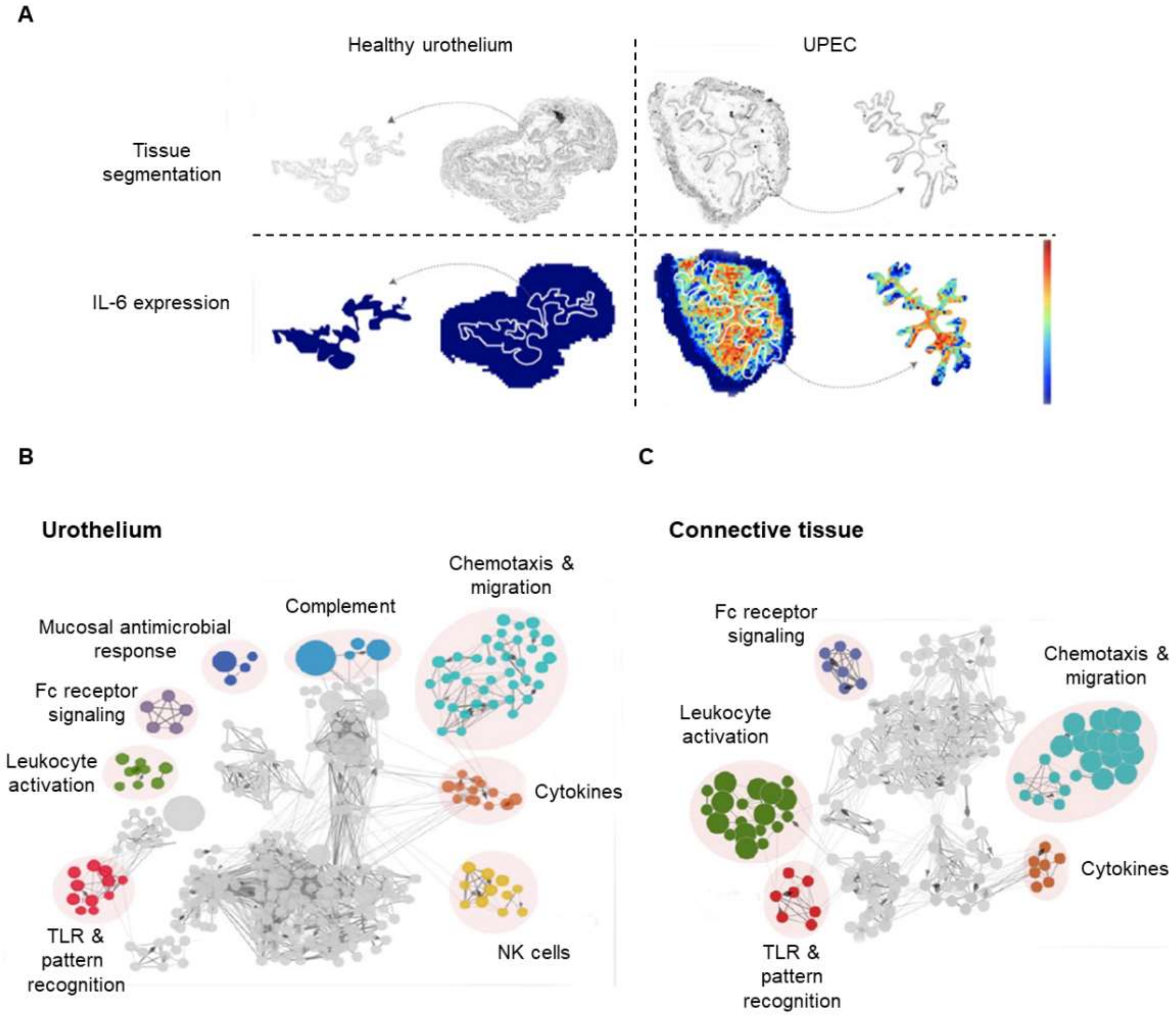Cancers 13 05537 g009 Cancers 13 05537 g009