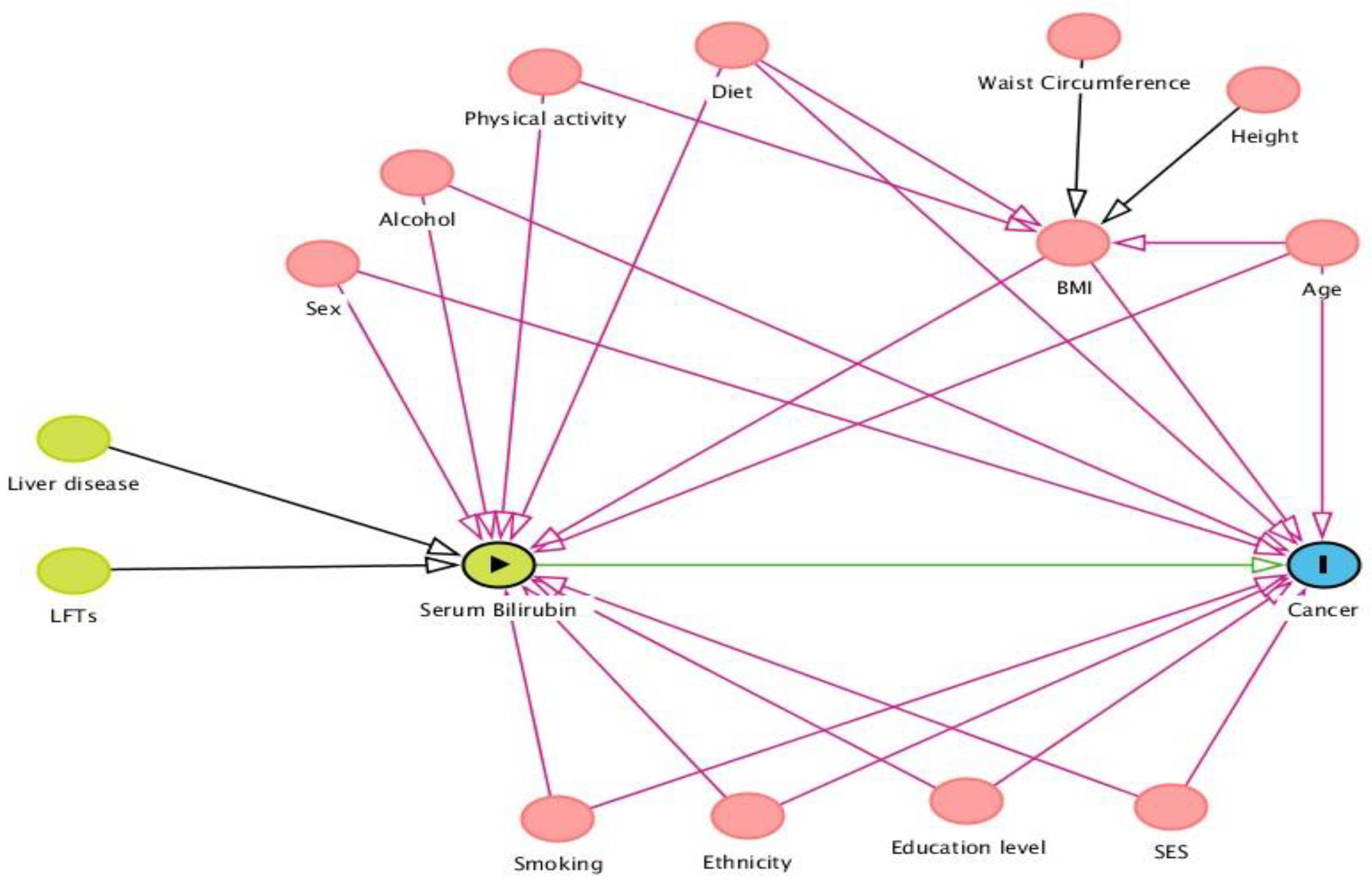 Cancers 13 05540 g002