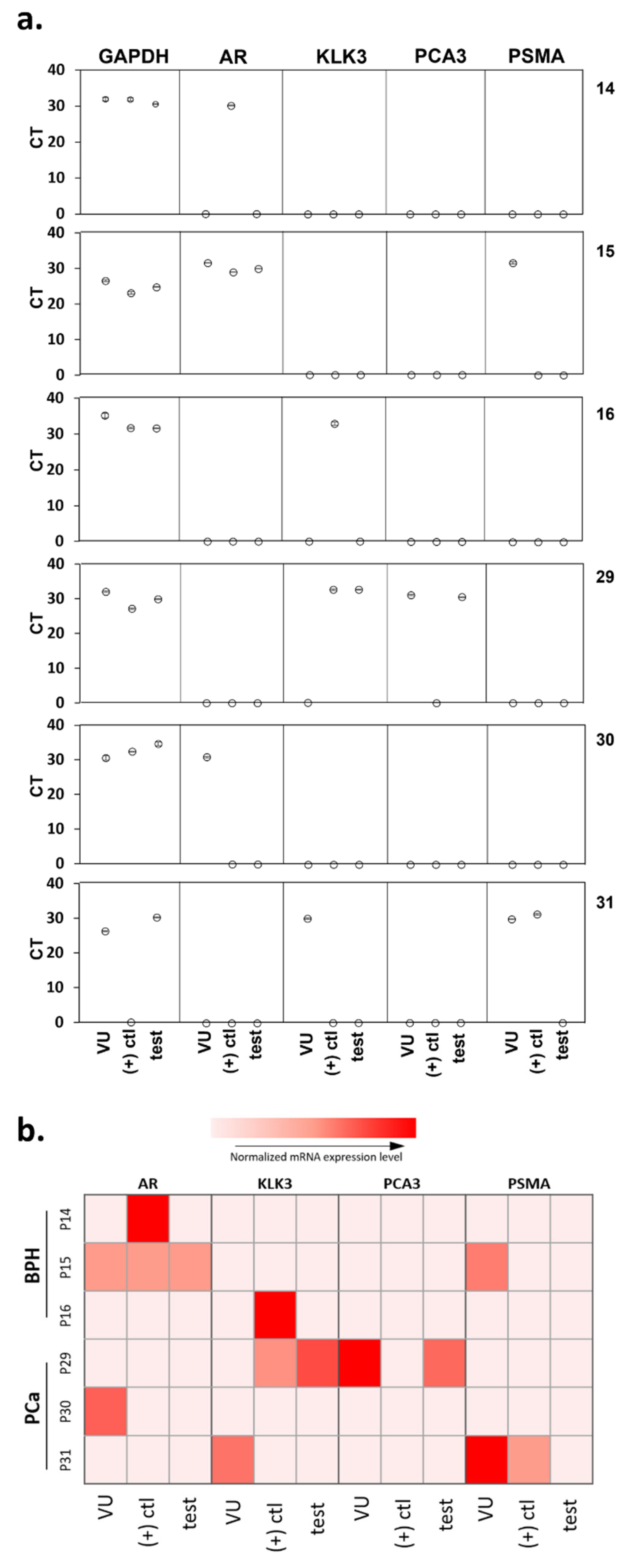 Cancers 13 05544 g005